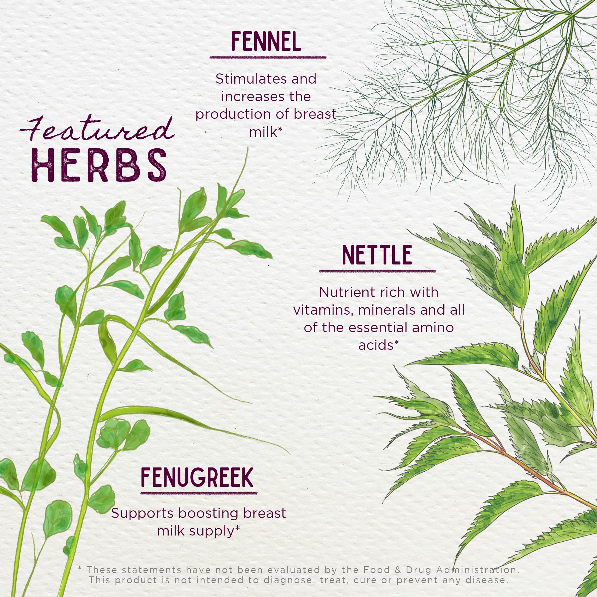 Foto 4 | Suplemento Wishgarden Herbs, Rico En Leche, Con Ruda De Cabra, 60 Ml - Venta Internacional.