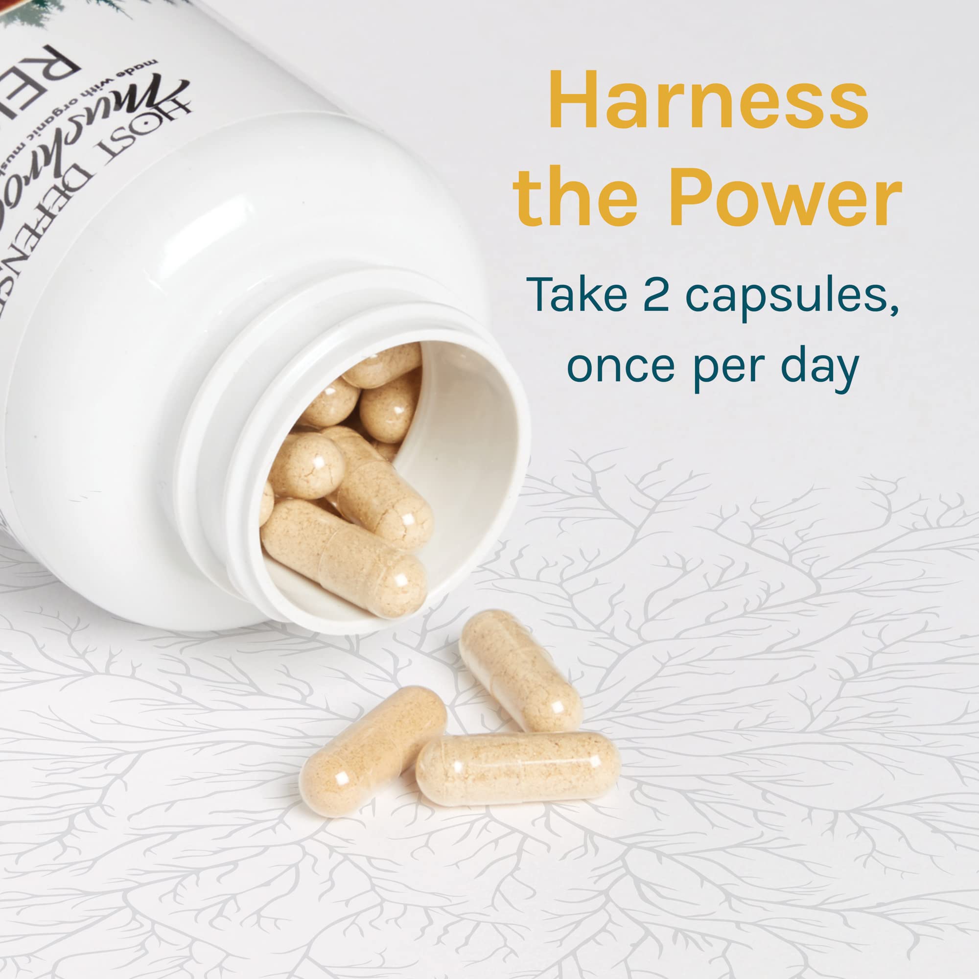 Foto 8 pulgar | Cápsulas de Reishi Supplement Host Defense 1 Frasco con 120 Cápsulas - Venta Internacional