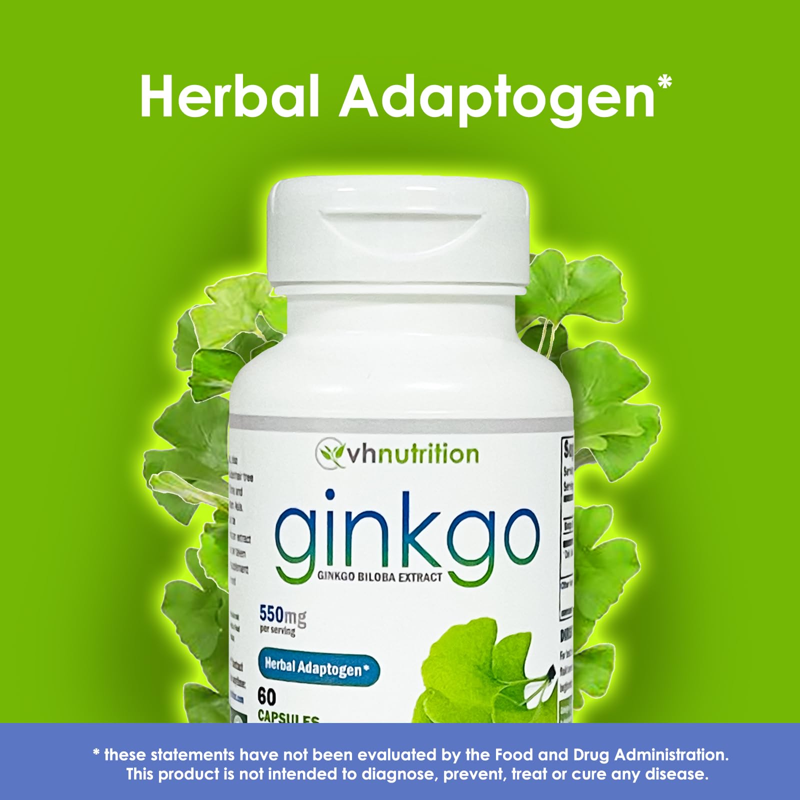 Foto 4 pulgar | Suplemento Vh Nutrition Ginkgo Biloba 60 Cápsulas - Venta Internacional