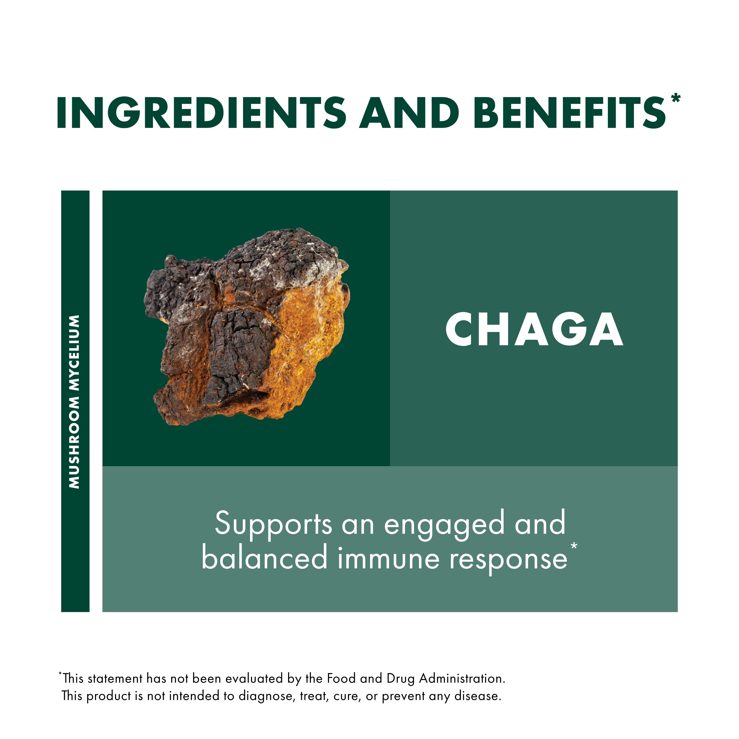 Foto 5 pulgar | Suplemento de Hongos Host Defense Chaga Powder 100 Ml - Venta Internacional