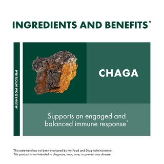 Foto 4 | Suplemento de Hongos Host Defense Chaga Powder 100 Ml - Venta Internacional