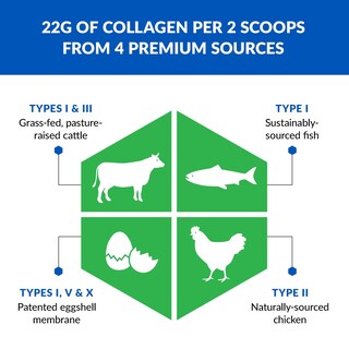 Foto 4 | Colágeno en Polvo Biotrust Ageless Multi 5 Tipos Paquete de 3 - Venta Internacional