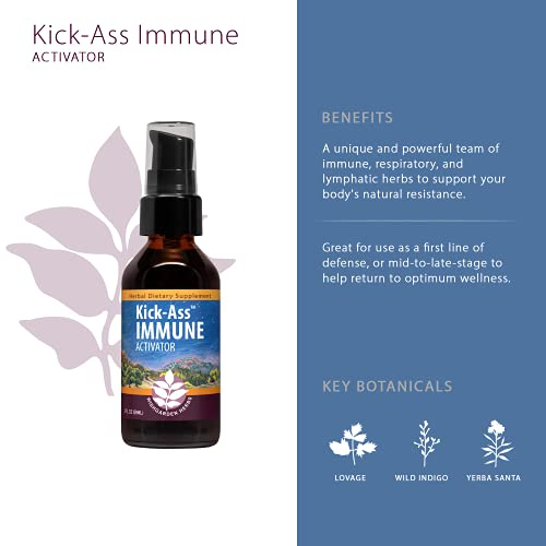 Foto 4 pulgar | Suplemento Wishgarden Herbs Kick-ass, Activador Inmunitario, 60 Ml - Venta Internacional.