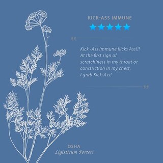 Foto 4 | Suplemento Wishgarden Herbs Kick-ass, Activador Inmunitario, 60 Ml - Venta Internacional.