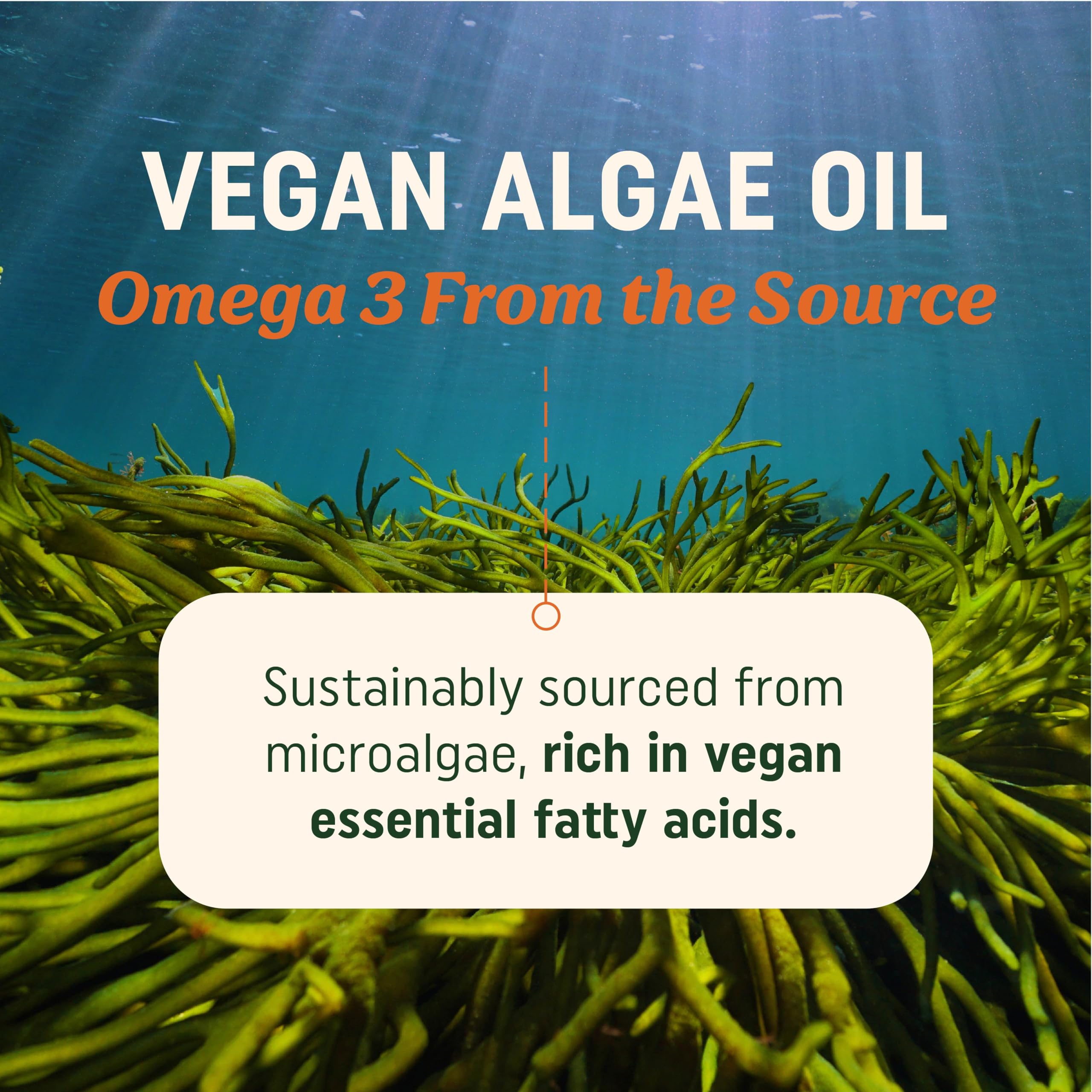 Foto 4 pulgar | Suplemento Mav Nutrition Aceite De Algas Omega 3 Vegano 60 Cápsulas Blandas - Venta Internacional.