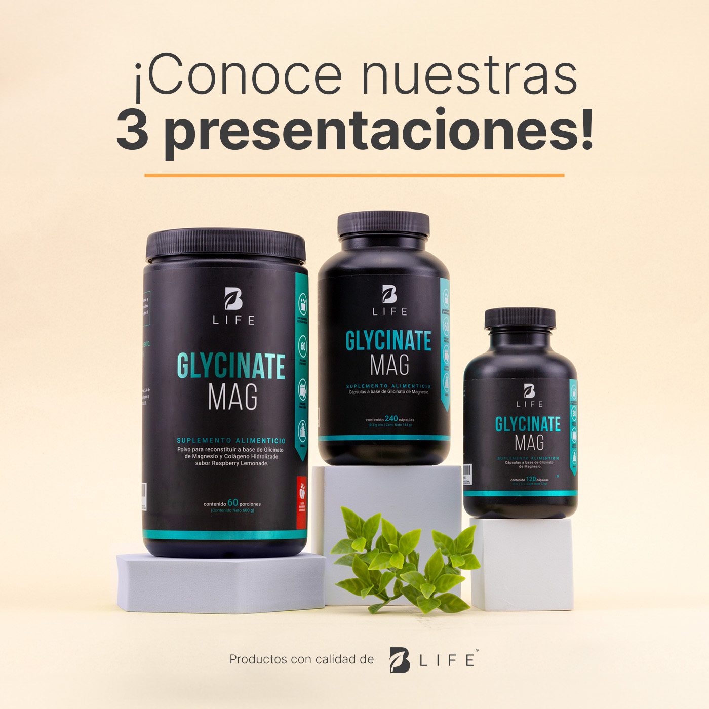 Foto 5 | Glicinato De Magnesio En Polvo | 60 Porciones | Sabor Raspberry Lemonade | 600 Gramos | Glycinate Mag | B Life.