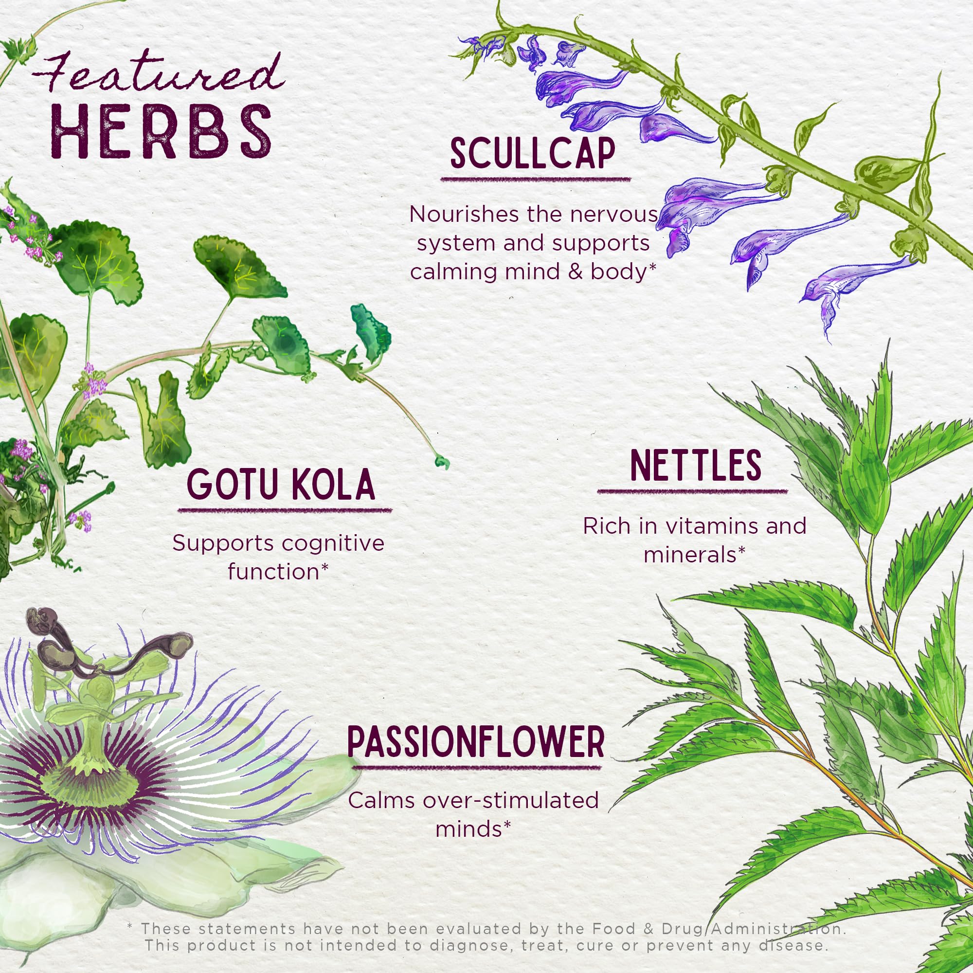 Foto 4 | Suplemento Wishgarden Herbs Attention Ally 60 Ml - Venta Internacional.
