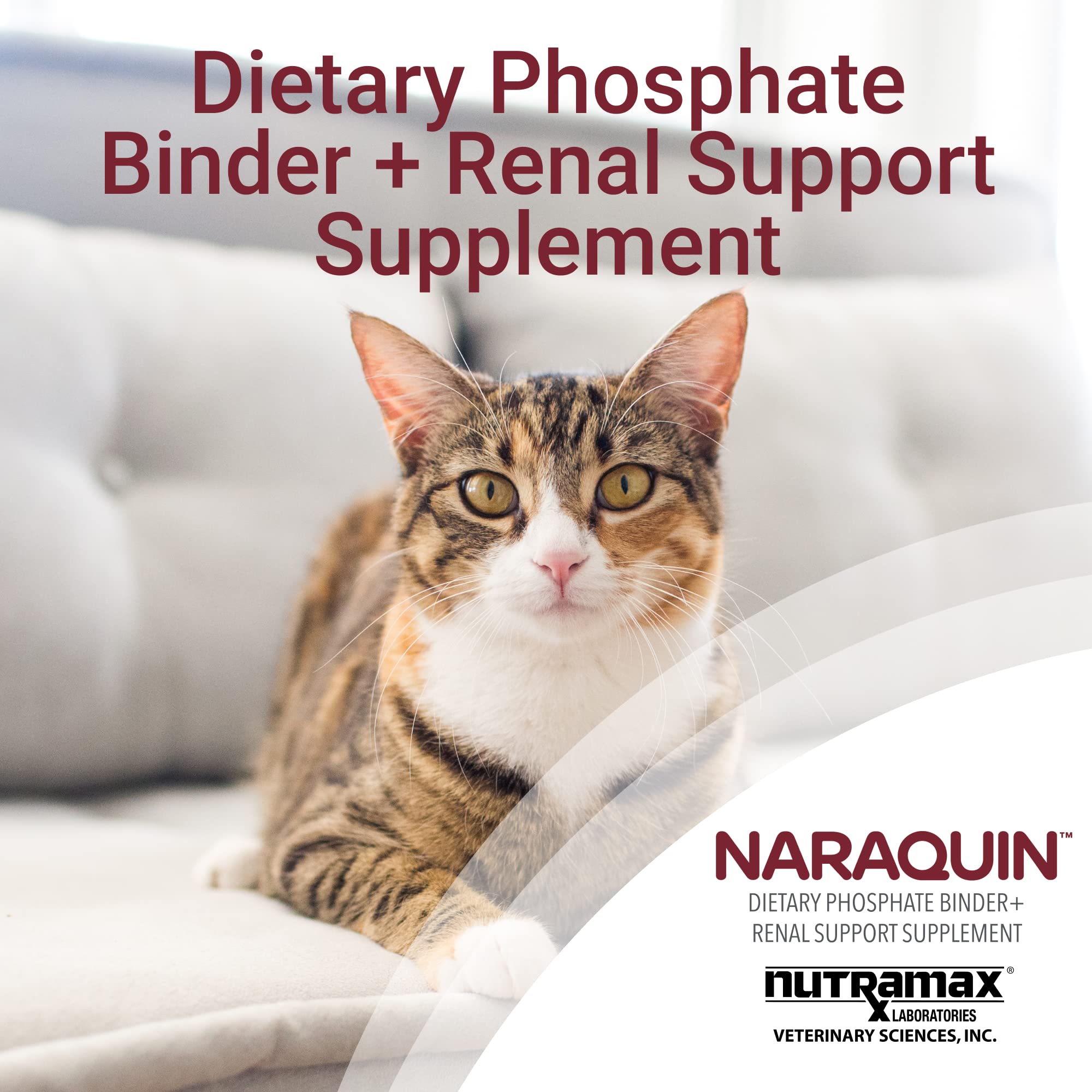 Foto 4 pulgar | Suplemento Naraquin De Nutramax Laboratories Para Perros Y Gatos, 60 Unidades - Venta Internacional.