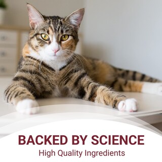 Foto 5 | Suplemento Naraquin De Nutramax Laboratories Para Perros Y Gatos, 60 Unidades - Venta Internacional.