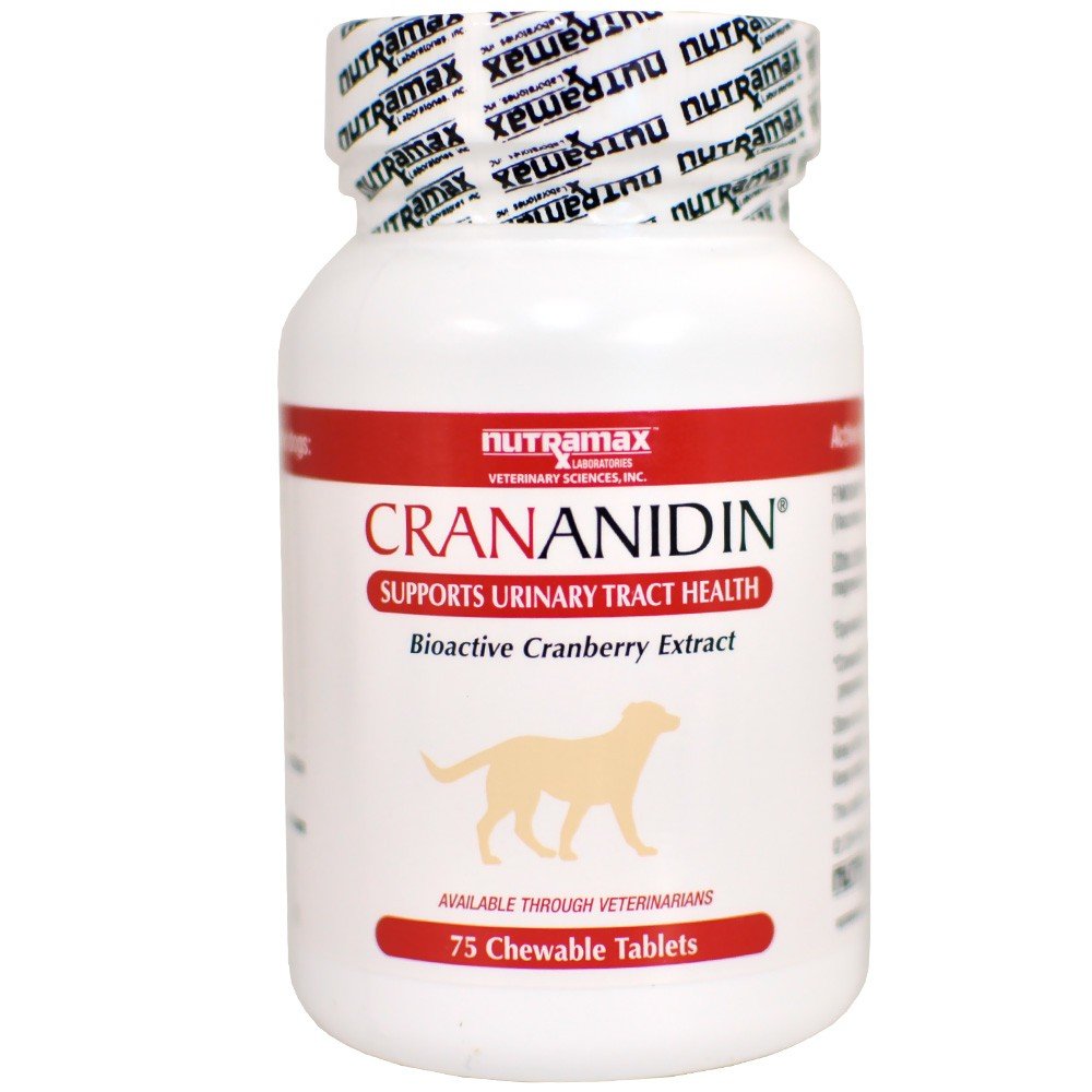 Suplemento De Crananidina Y Arándano De Nutramax Laboratories Para Perros - Venta Internacional.