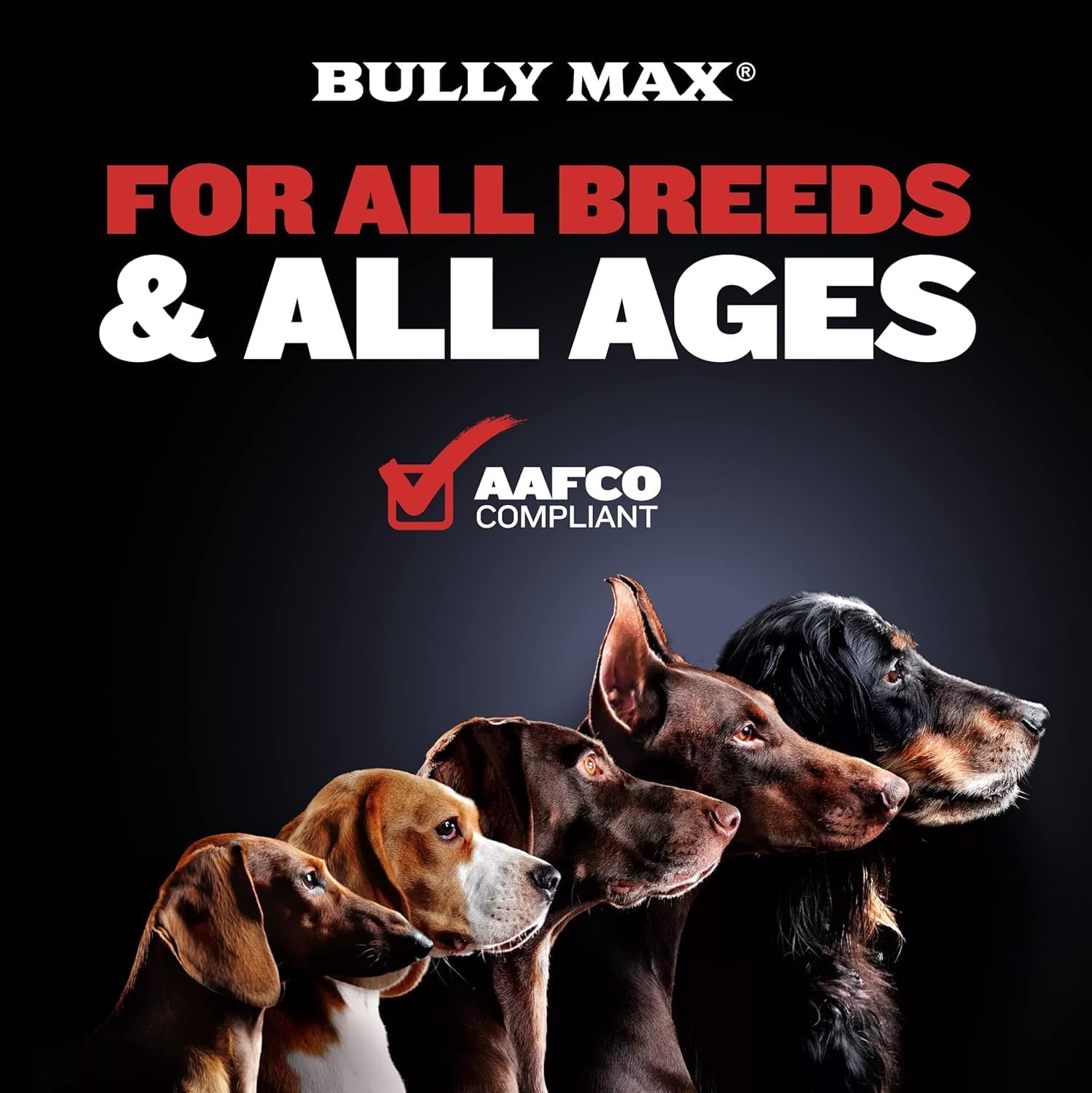 Foto 5 pulgar | Suplemento Bully Max 2 En 1 Muscle Builder Para Perros, 60 Comprimidos - Venta Internacional.