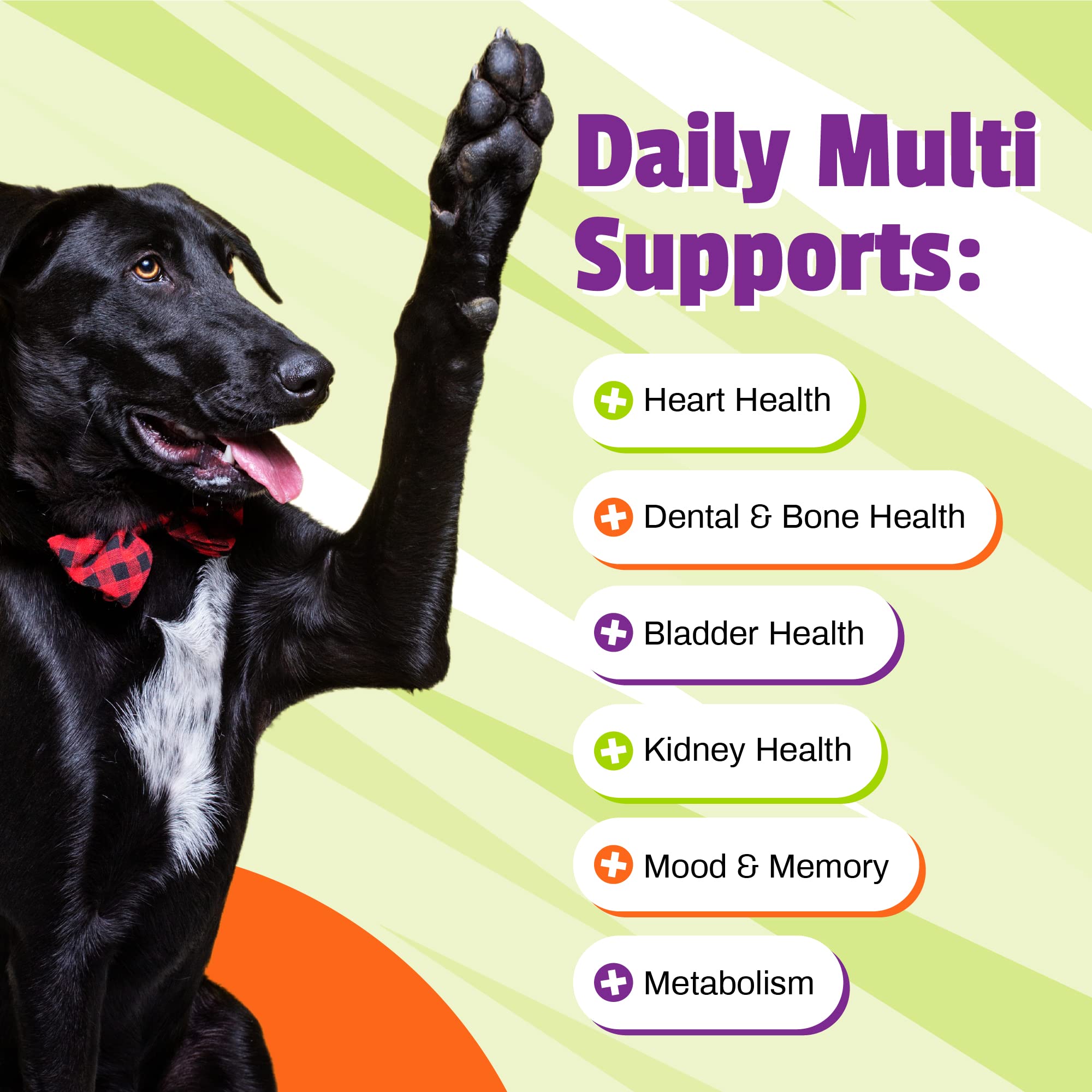 Foto 5 pulgar | Multivitamínico Diario Supplement Pet Naturals 150 Masticables Para Perros - Venta Internacional.