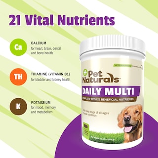 Foto 6 | Multivitamínico Diario Supplement Pet Naturals 150 Masticables Para Perros - Venta Internacional.
