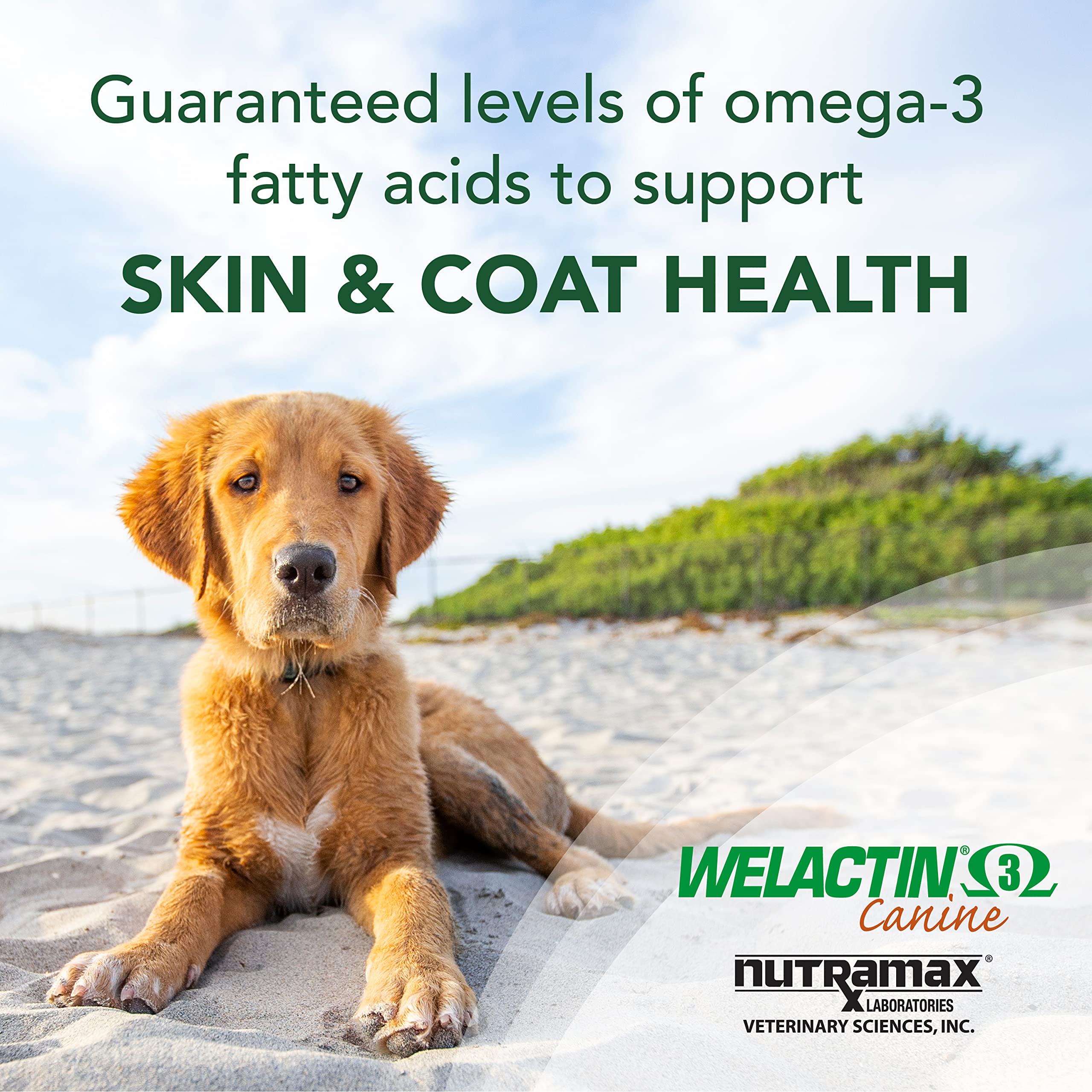 Foto 3 pulgar | Suplemento Nutramax Welactin Canine Soft Gel De 120 Unidades Para Perros - Venta Internacional.