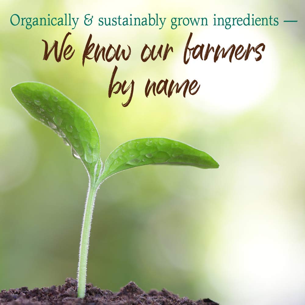 Foto 7 pulgar | Complemente El Chocolate Garden Of Life Raw Organic Perfect Food - Venta Internacional.