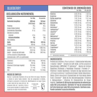 Foto 2 | Birdman Proteína Vegetal Fitmingo Sabor Blueberry 510 G