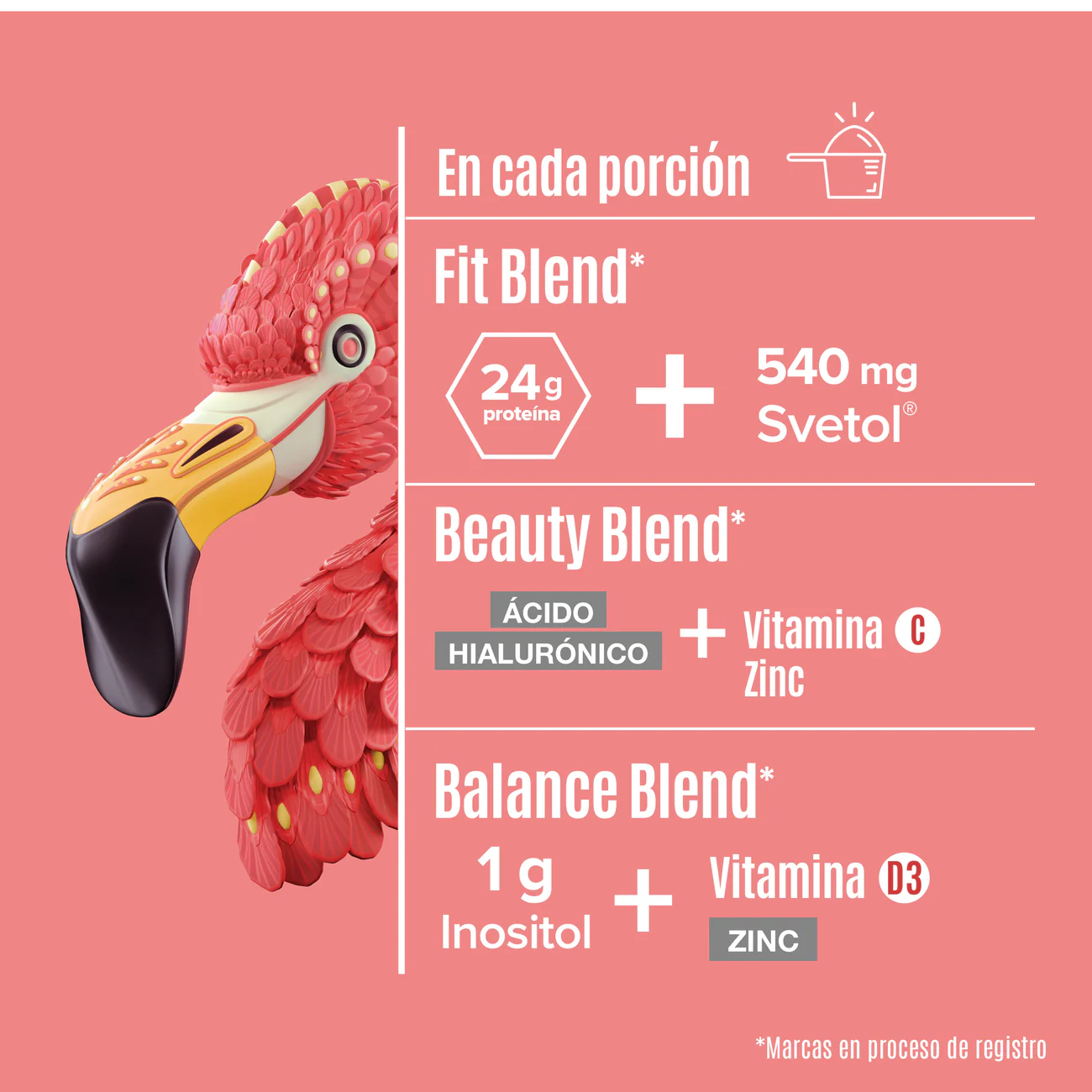 Foto 4 pulgar | Birdman Proteína Vegetal Fitmingo Sabor Blueberry 510 G