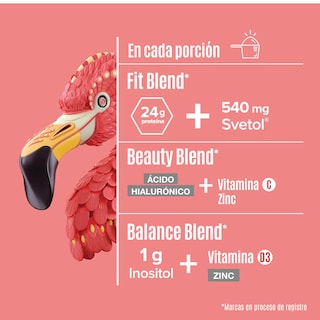 Foto 3 | Birdman Proteína Vegetal Fitmingo Sabor Blueberry 510 G