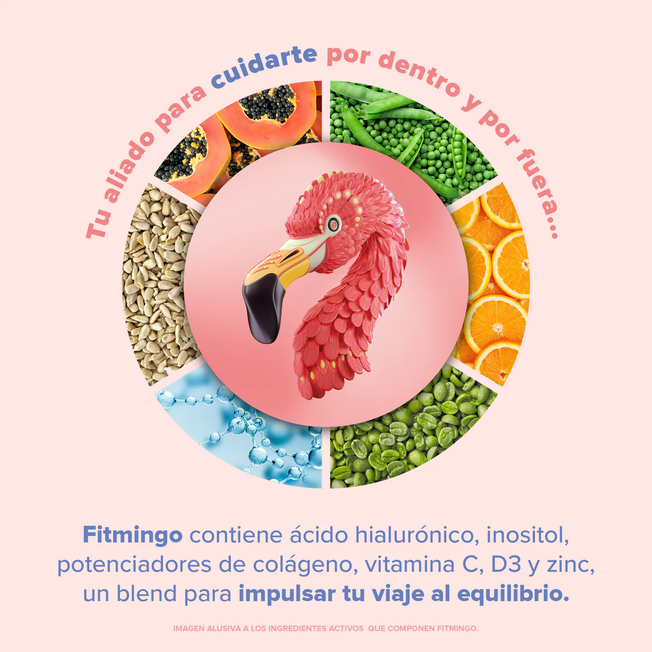 Foto 5 pulgar | Birdman Proteína Vegetal Fitmingo Sabor Blueberry 510 G