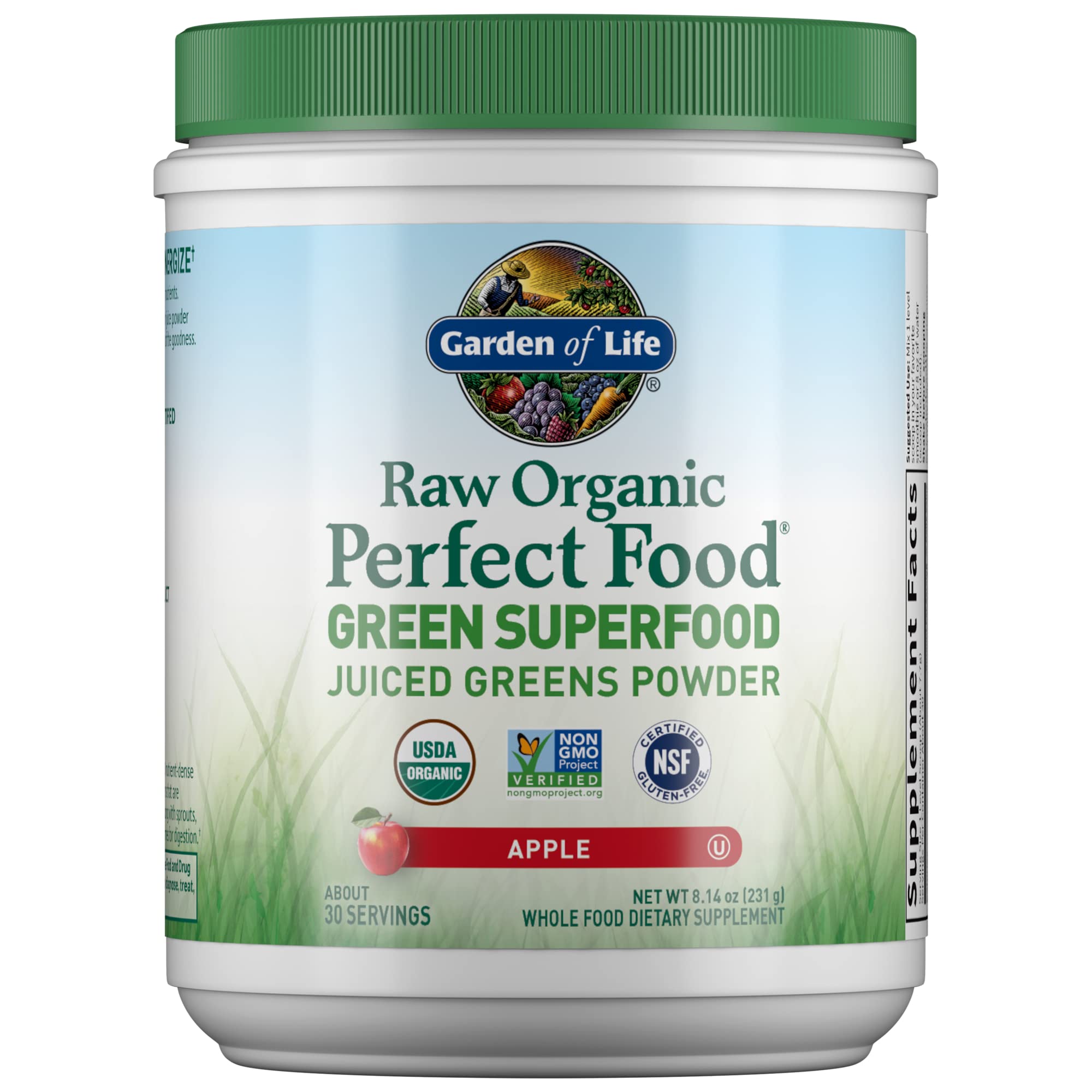 Foto 1 | Suplemento Garden Of Life Raw Organic Perfect Food Green - Venta Internacional.