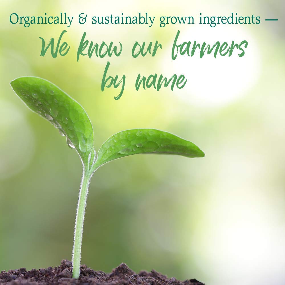 Foto 7 pulgar | Suplemento Garden Of Life Raw Organic Perfect Food Green - Venta Internacional.