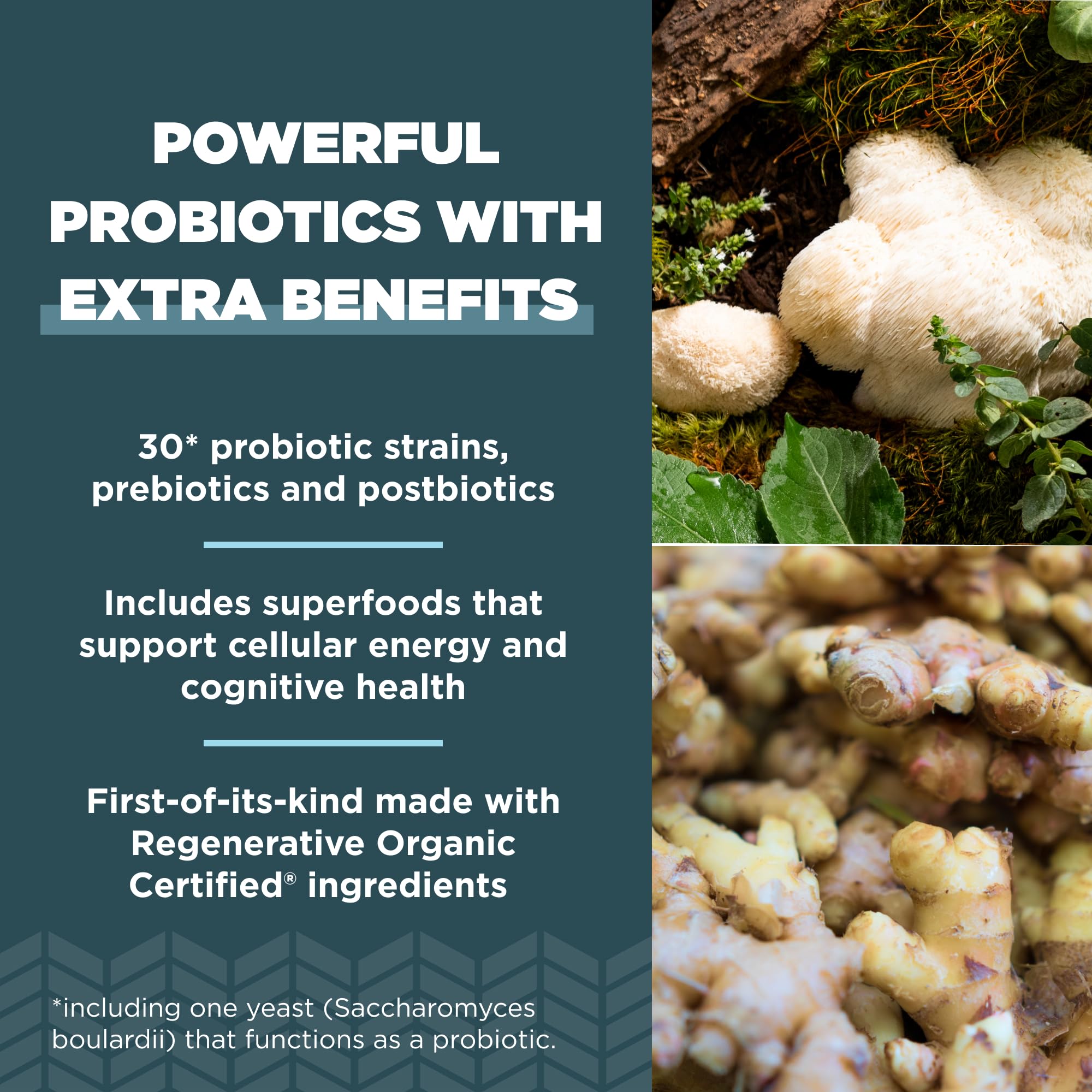 Foto 4 | Suplemento de Probióticos Orgánicos Regenerativos Ancient Nutrition - Venta Internacional