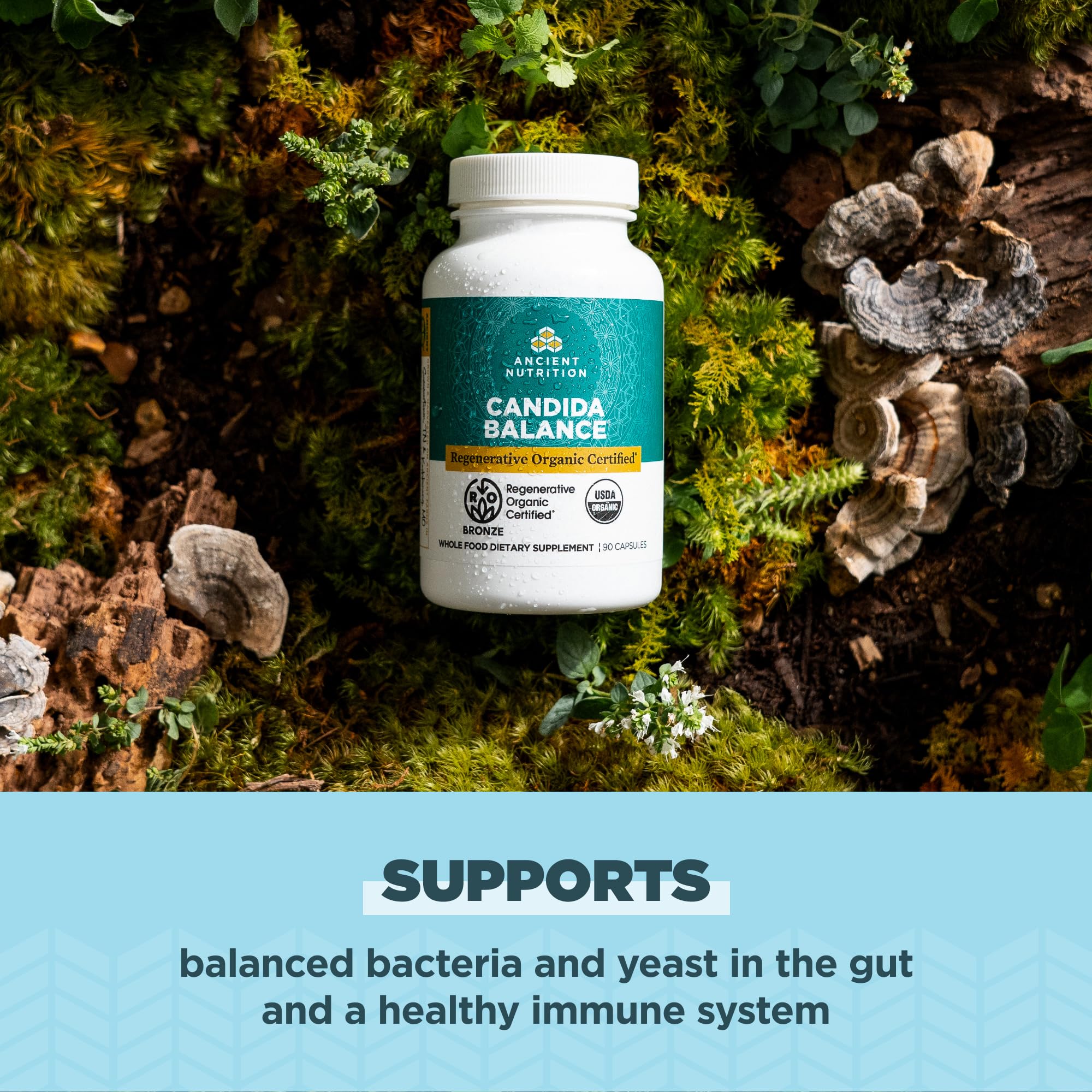 Foto 4 pulgar | Suplemento Ancient Nutrition Gut Health 90 Cápsulas - Venta Internacional