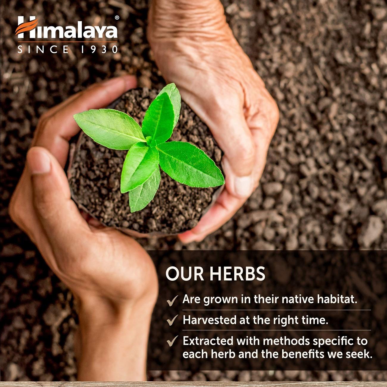 Foto 7 | Suplemento Himalaya Glucocare Herbal 90 Cápsulas - Venta Internacional.