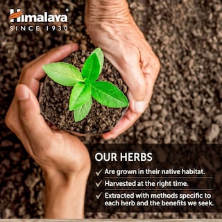 Foto 7 | Suplemento Himalaya Glucocare Herbal 90 Cápsulas - Venta Internacional.