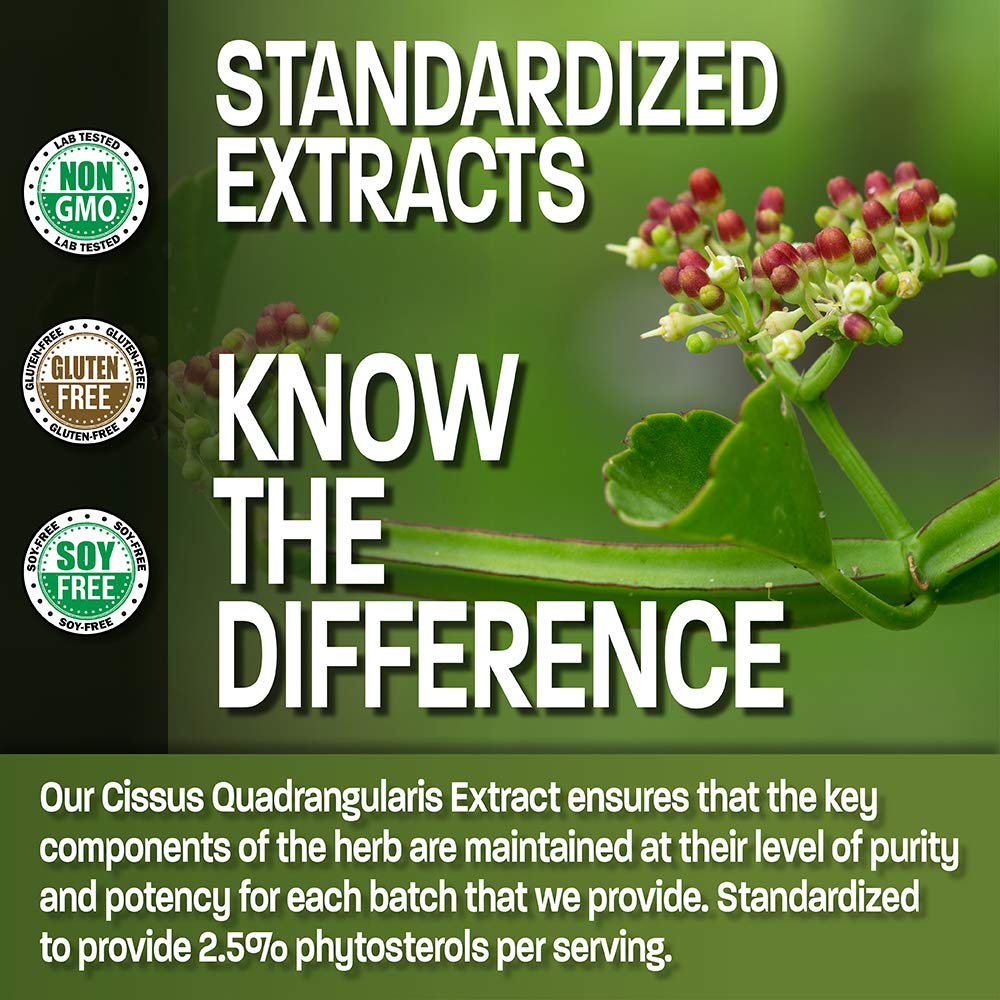 Foto 3 | Suplemento de Extracto de Bronson Cissus Quadrangularis 1000 mg 120 Cápsulas - Venta Internacional