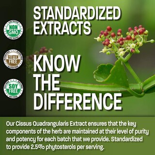 Foto 3 | Suplemento de Extracto de Bronson Cissus Quadrangularis 1000 mg 120 Cápsulas - Venta Internacional