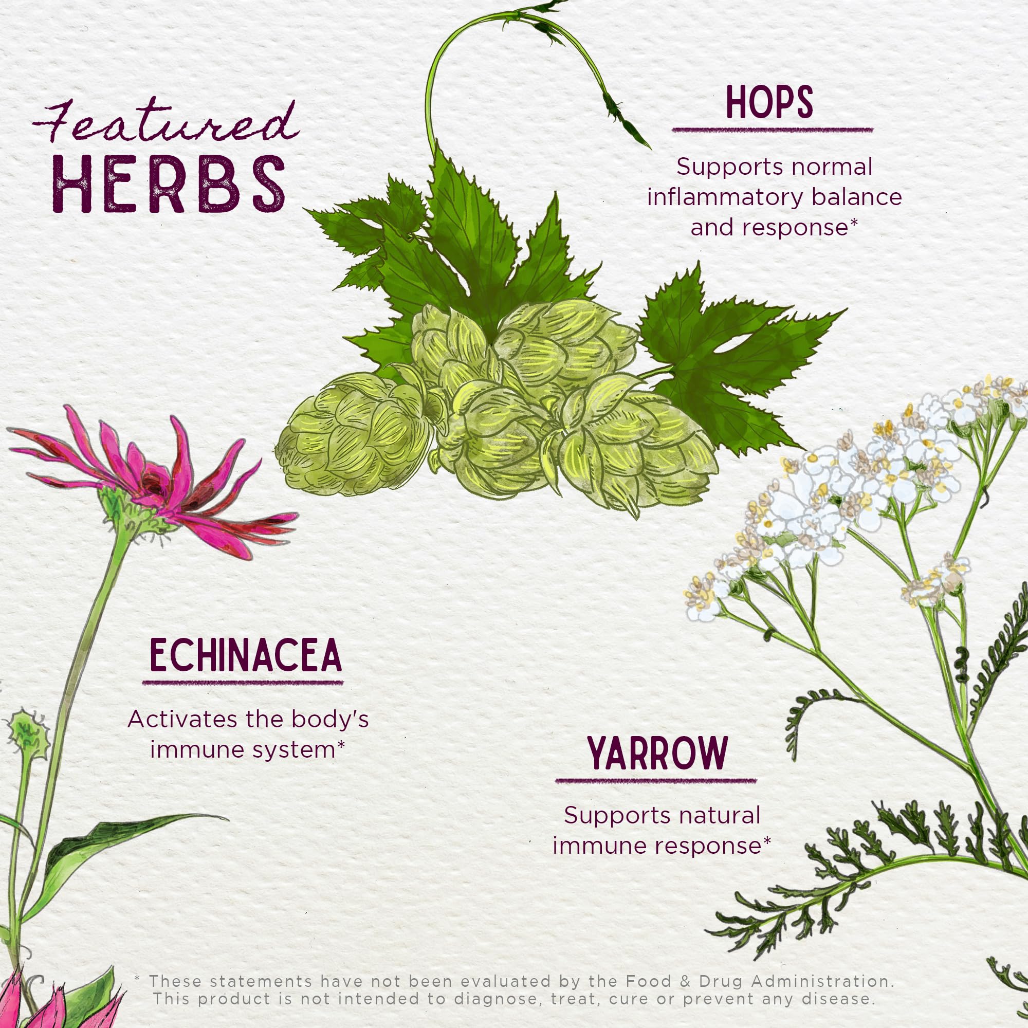 Foto 5 pulgar | Suplemento Wishgarden Herbs Happy Ducts de Apoyo a la Lactancia 60 ml - Venta Internacional