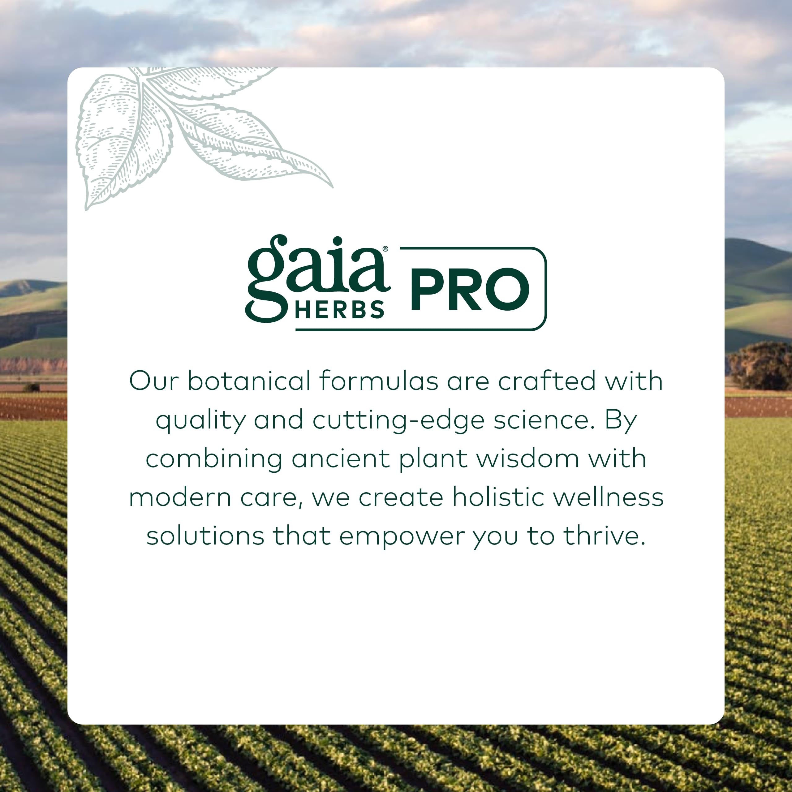 Foto 7 | Suplemento Gaia Herbs Pro De Remolacha Fermentada Y Maca 60 Cápsulas - Venta Internacional.