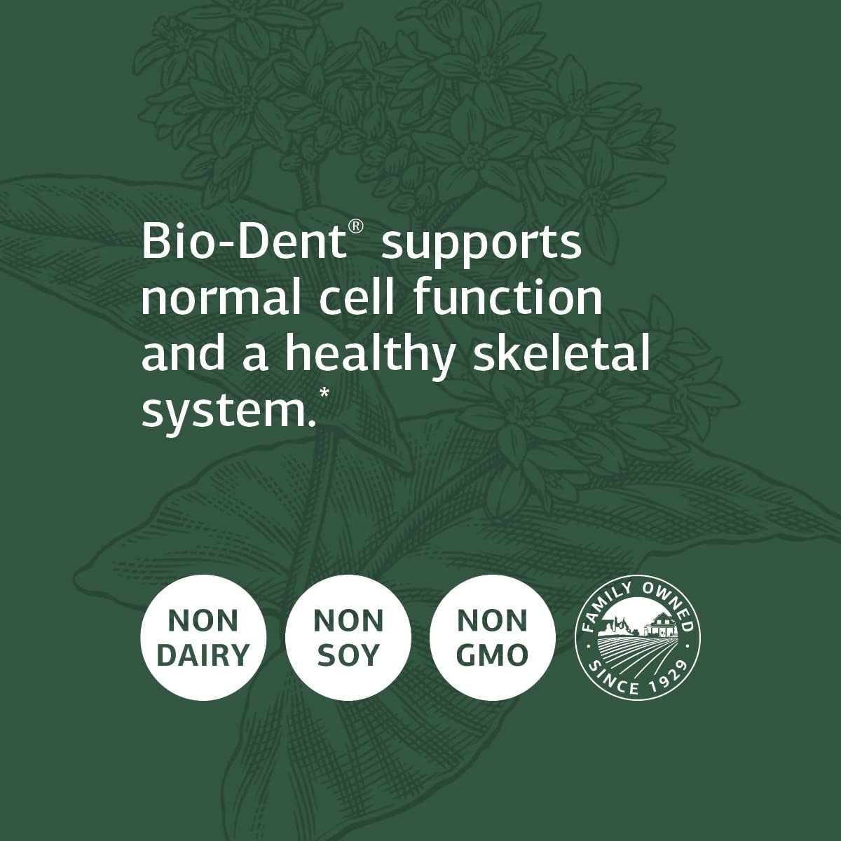 Foto 5 pulgar | Suplemento Standard Process Bio-dent 180 Comprimidos - Venta Internacional.