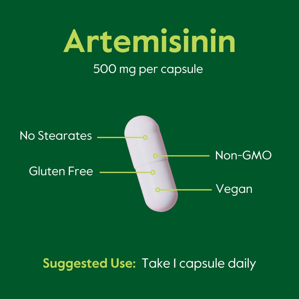 Foto 7 pulgar | Suplemento Bestvite Artemisinina 500 Mg 60 Cápsulas Veganas - Venta Internacional.