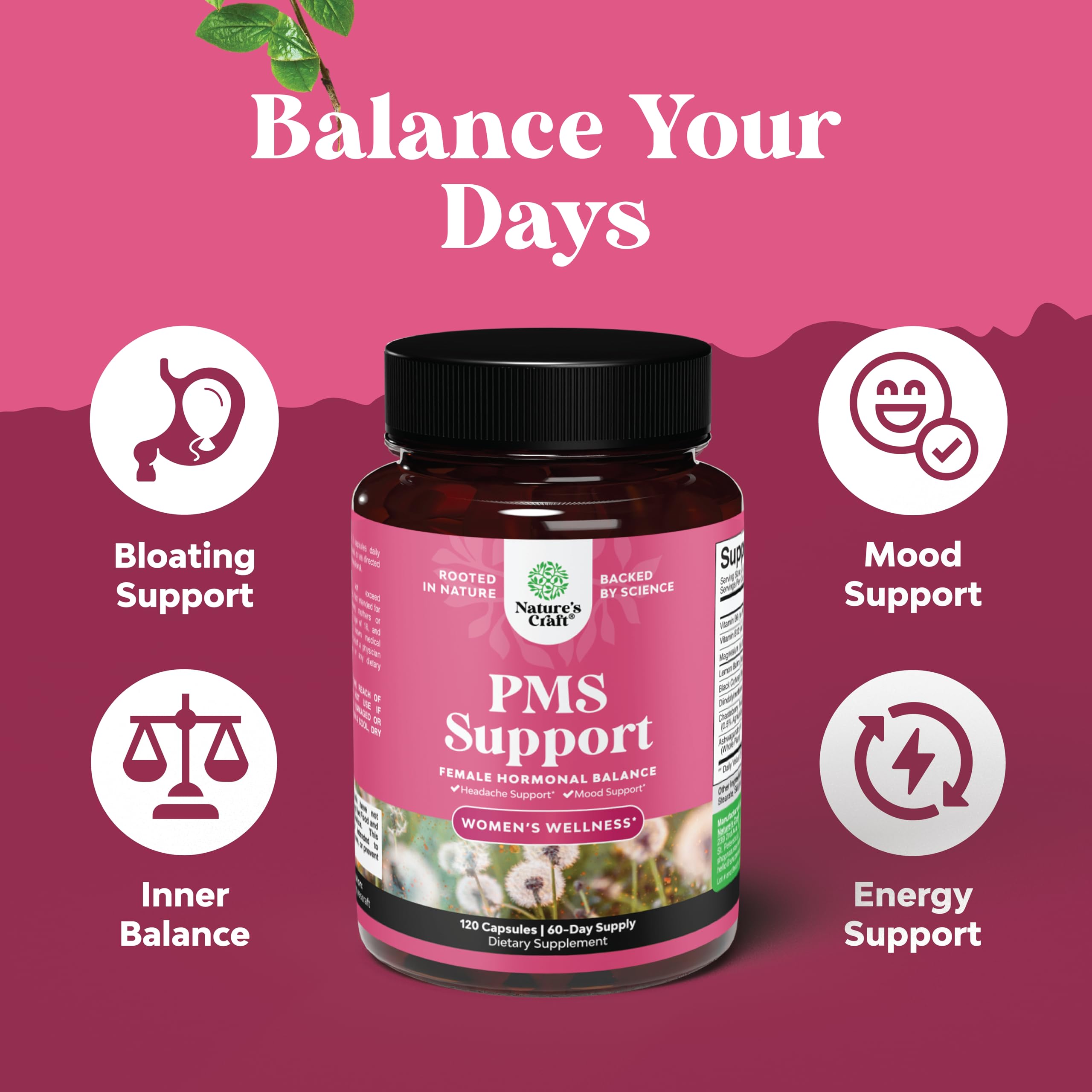 Foto 5 pulgar | Supplement Natures Craft Advanced Pms Support Women 120 Cápsulas - Venta Internacional.