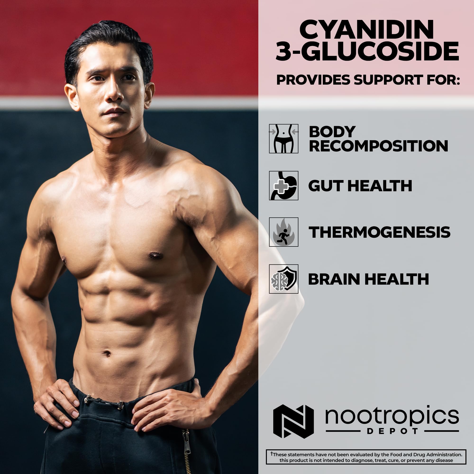 Foto 5 pulgar | Suplemento Nootropics Depot Cianidin 3-glucósido 125 Mg 60 Cápsulas - Venta Internacional.