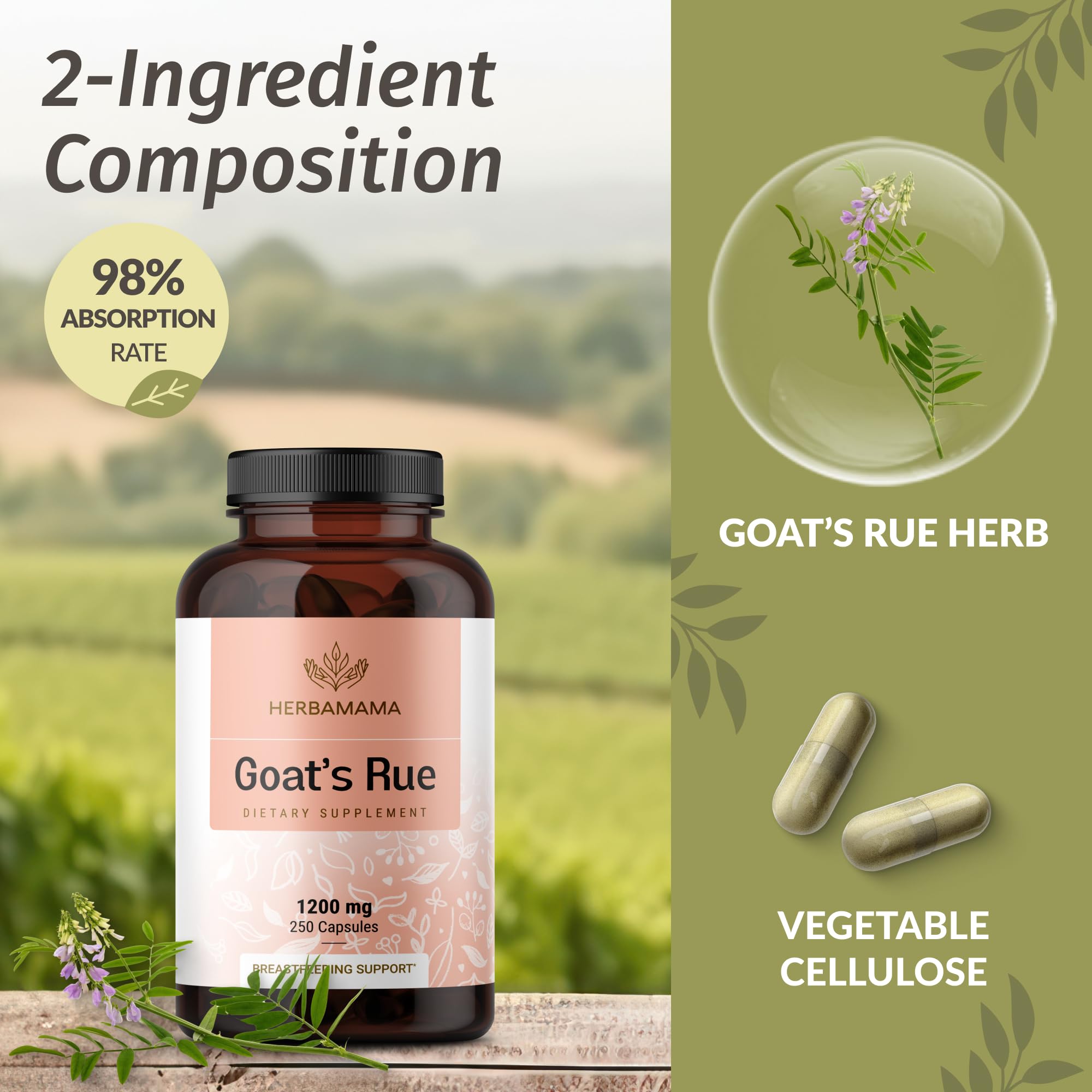 Foto 5 pulgar | Cápsulas De Ruda De Cabra Herbamama 1200 Mg Galega Officinalis 250 - Venta Internacional.