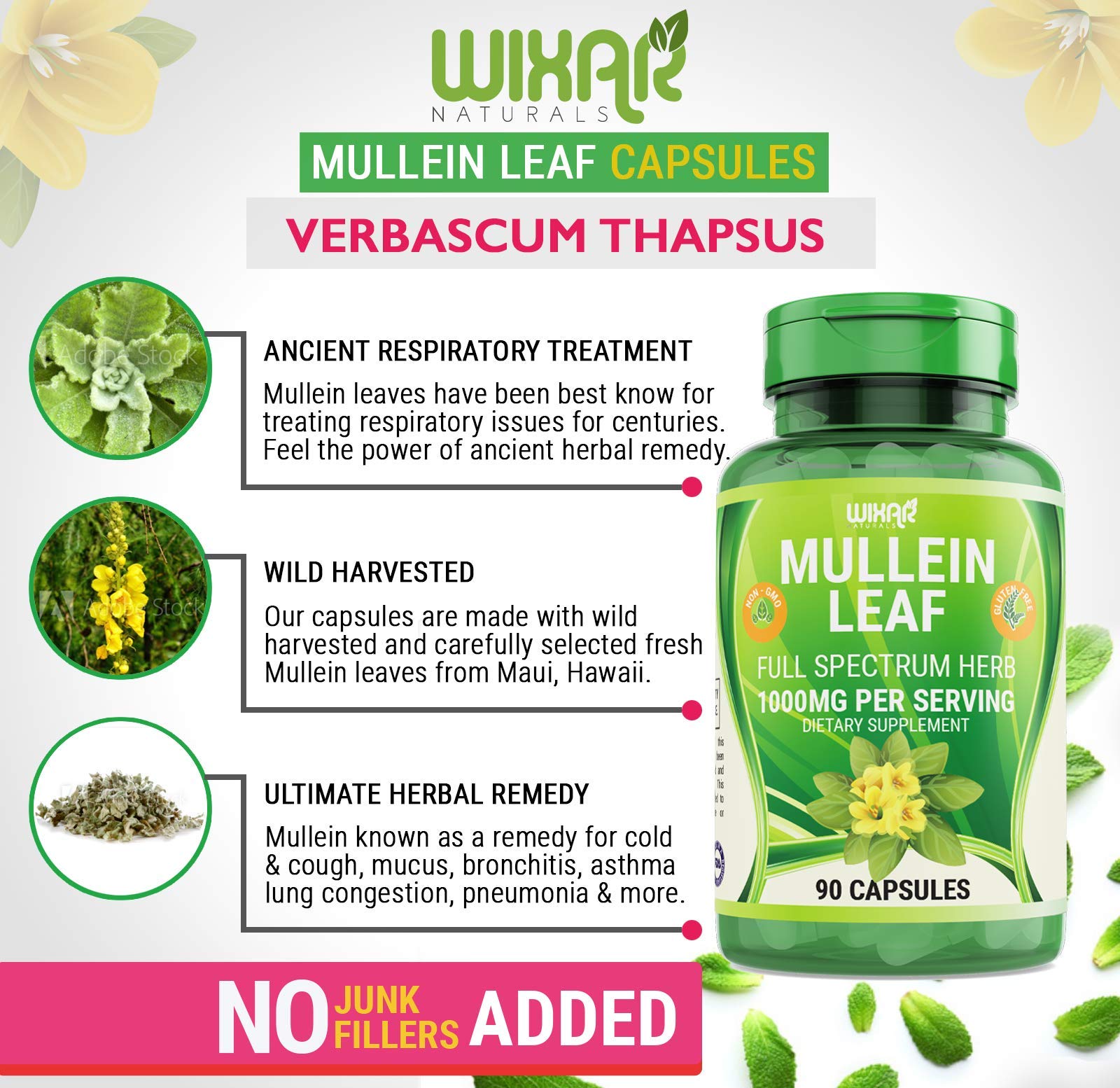 Foto 5 pulgar | Suplemento Wixar Naturals En Cápsulas De Hoja De Gordolobo 90 X 1000 Mg - Venta Internacional.