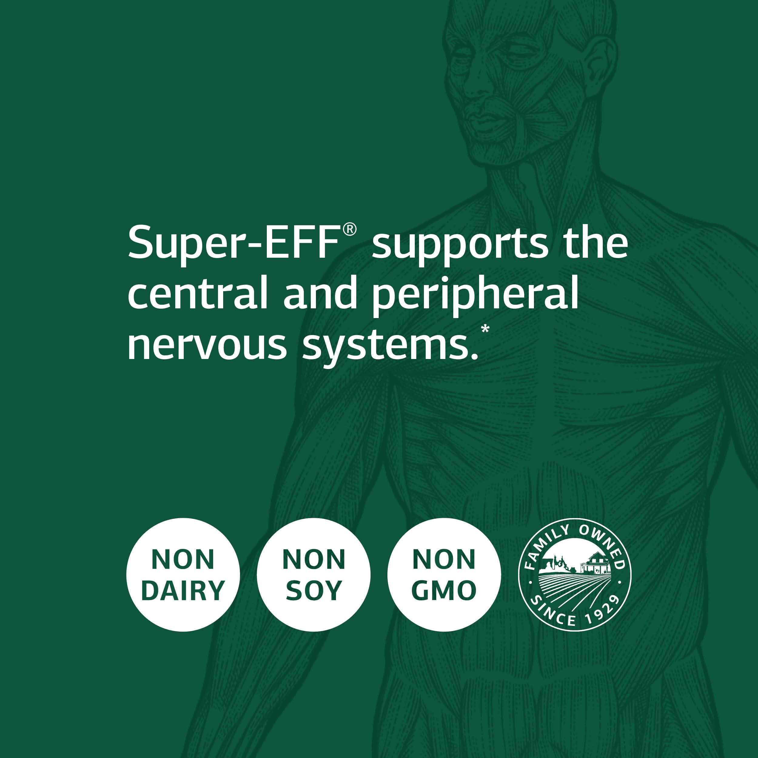 Foto 4 | Suplemento Standard Process Super-eff 150 Cápsulas - Venta Internacional