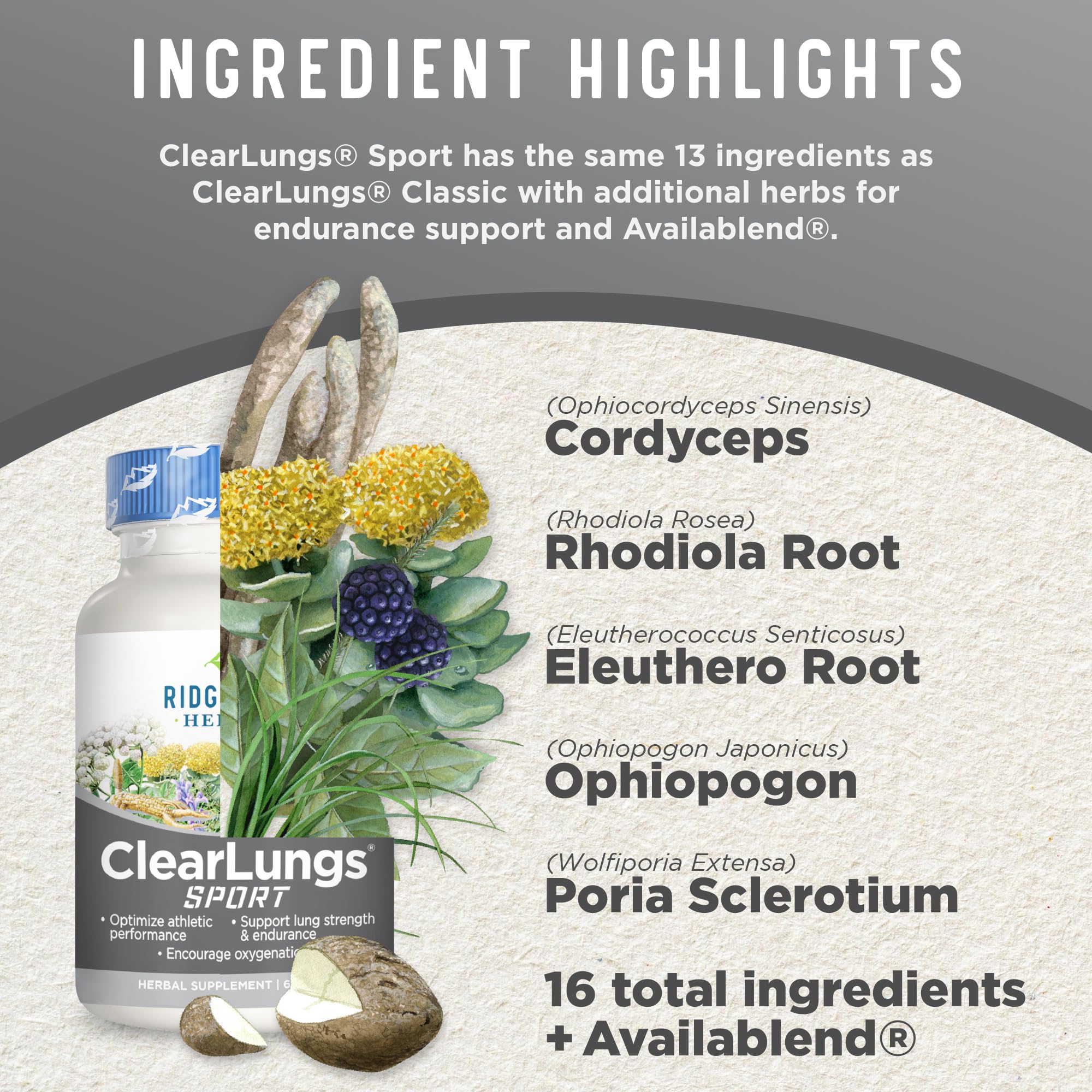 Foto 5 pulgar | Suplemento Ridgecrest Herbals Clearlungs Sport 60 Cápsulas Veganas - Venta Internacional