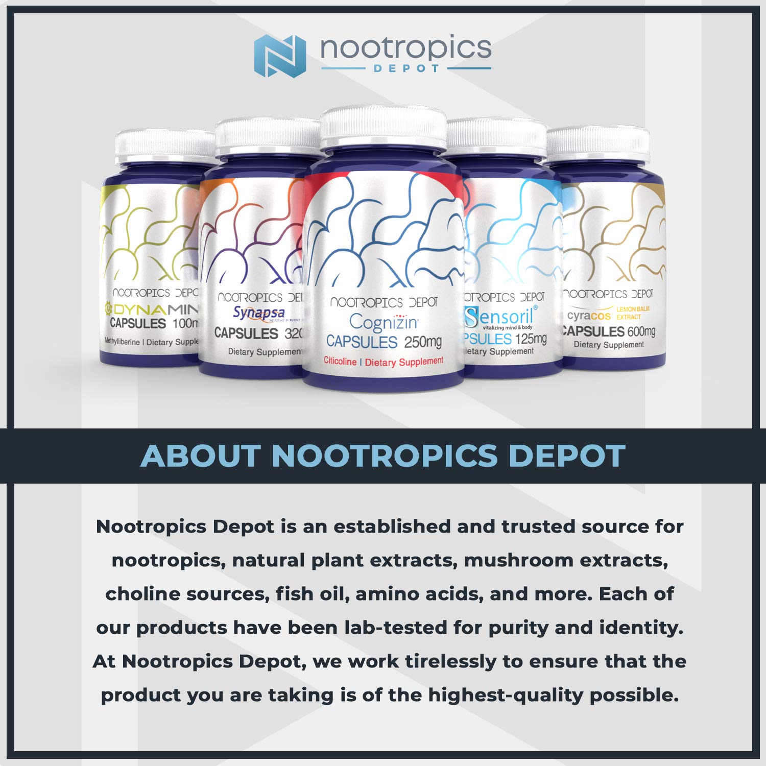 Foto 4 pulgar | Suplemento Nootropics Depot 7,8-Dihidroxiflavona 25 mg 120 Cápsulas - Venta Internacional