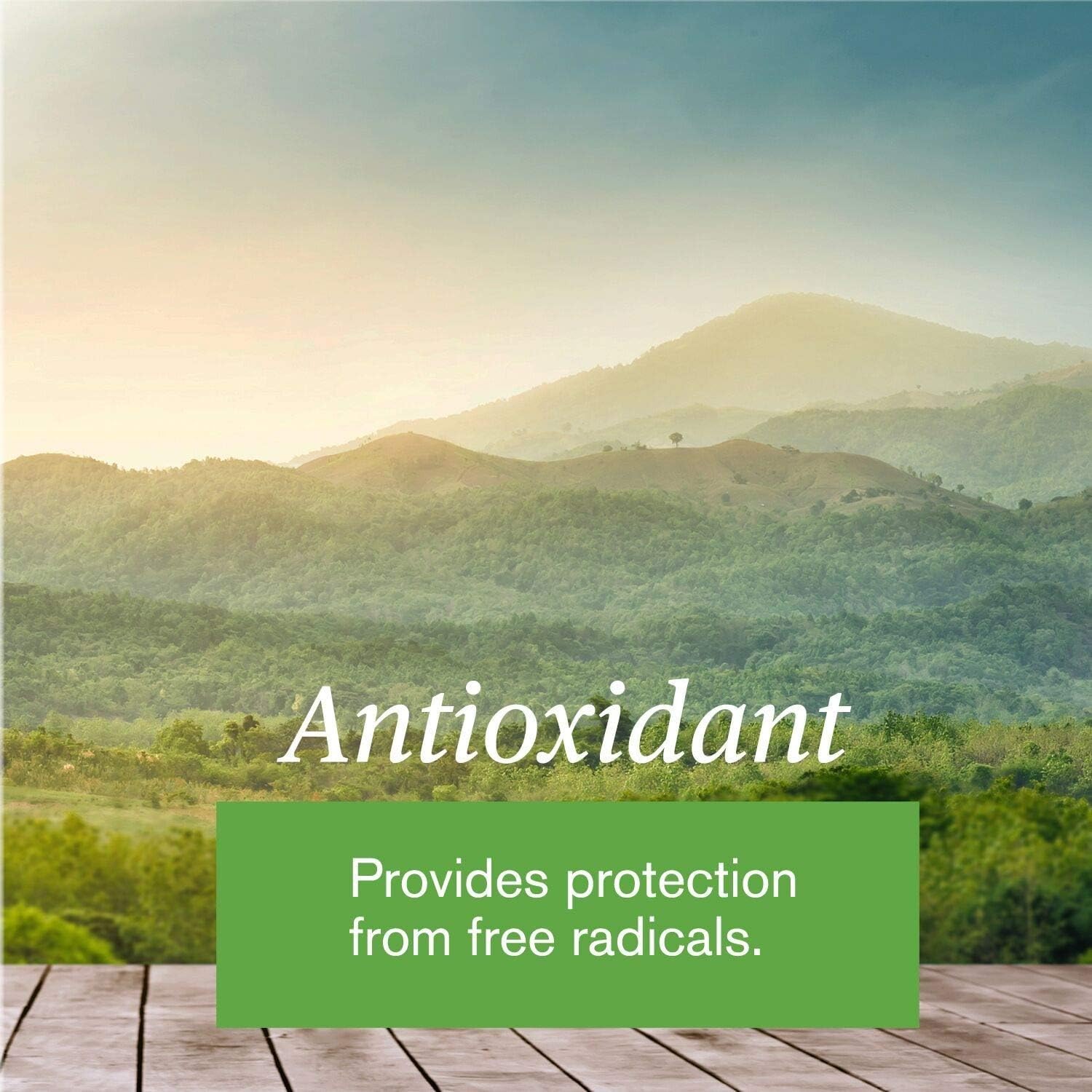 Foto 3 | Cápsulas de Té Supplement Nature's Sunshine 100 Unidades - Venta Internacional
