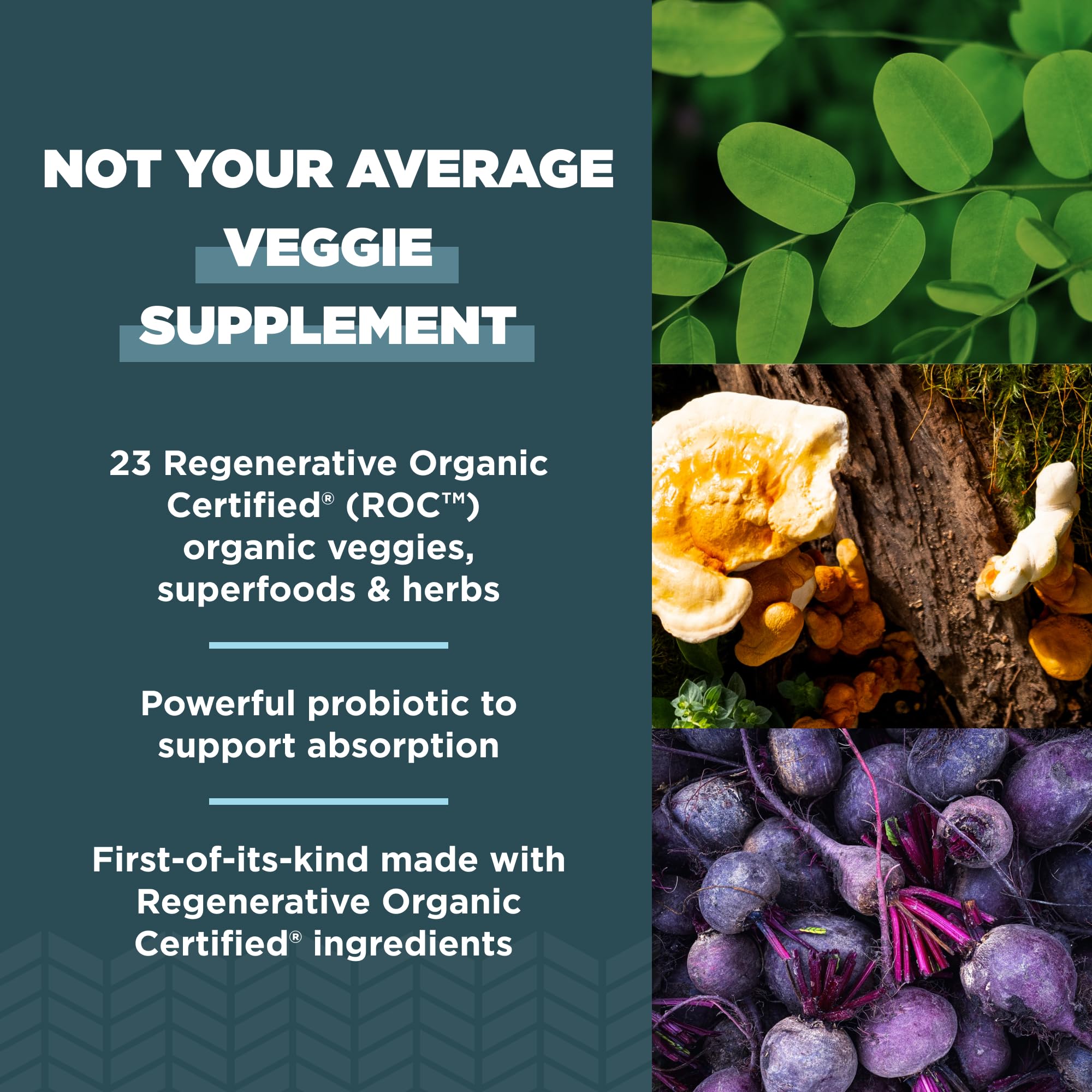 Foto 4 | Cápsulas Superveggies Ancient Nutrition- Venta Internacional