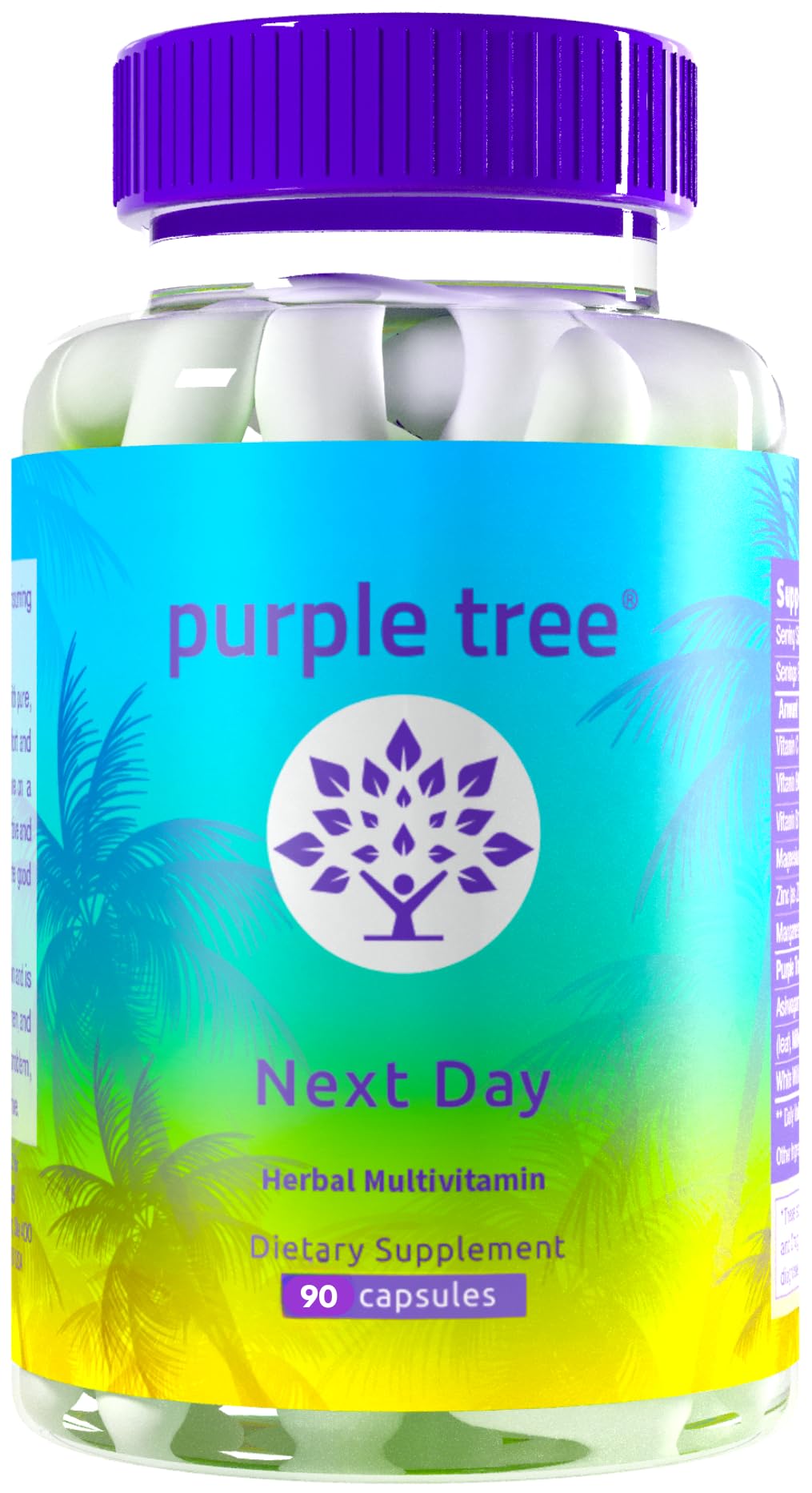 Foto 2 pulgar | Suplemento Purple Tree Next Day Replenish 90 Píldoras - Venta Internacional
