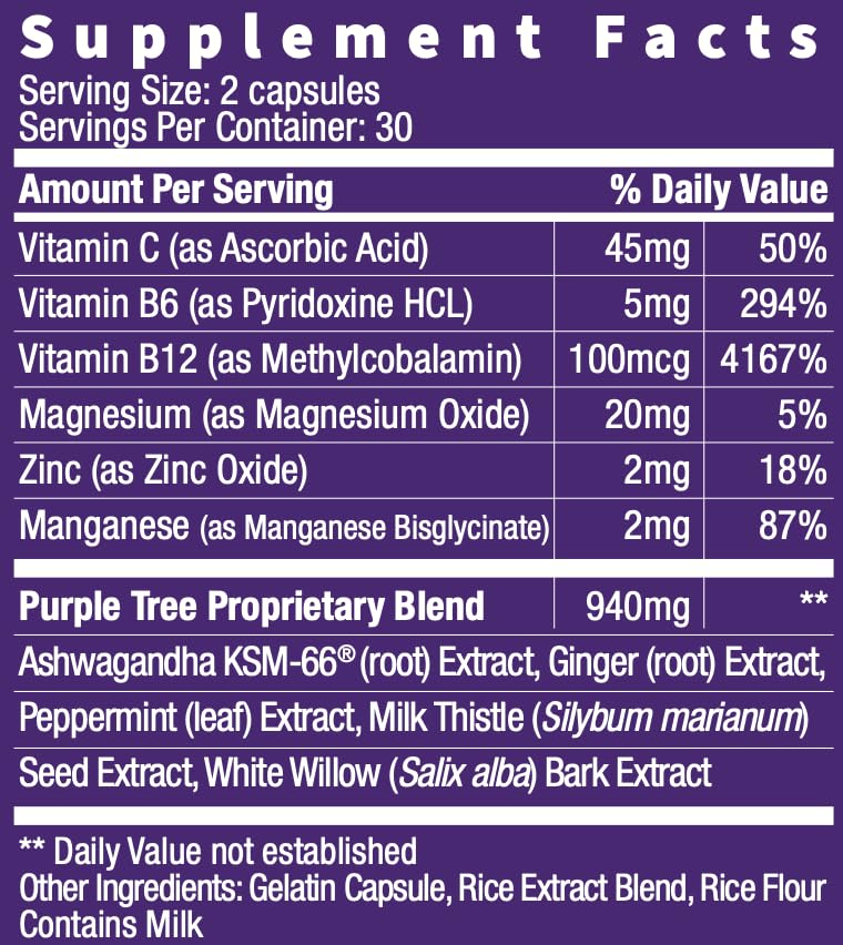 Foto 6 pulgar | Suplemento Purple Tree Next Day Replenish 90 Píldoras - Venta Internacional