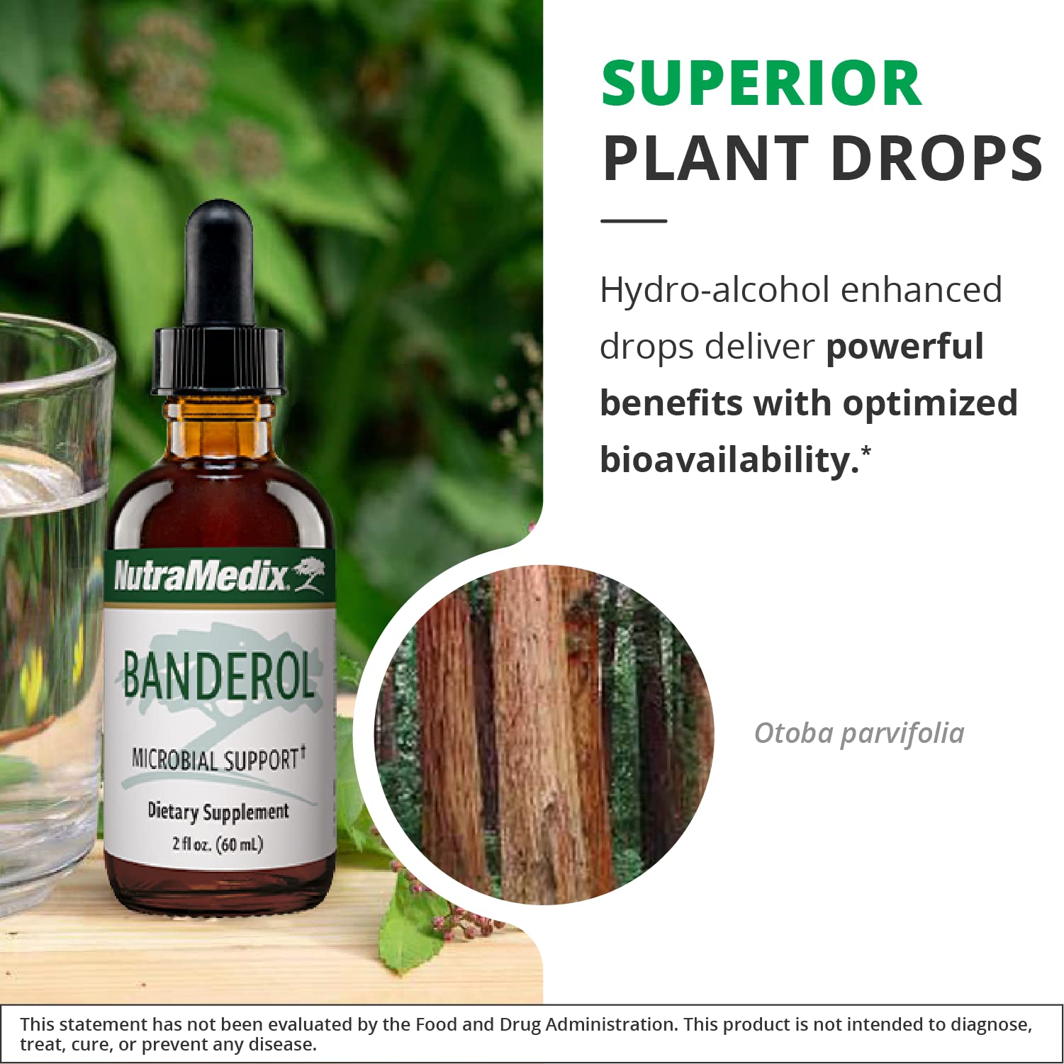Foto 6 pulgar | Suplemento Nutramedix Daily Immune Support Banderol 30 Ml - Venta Internacional