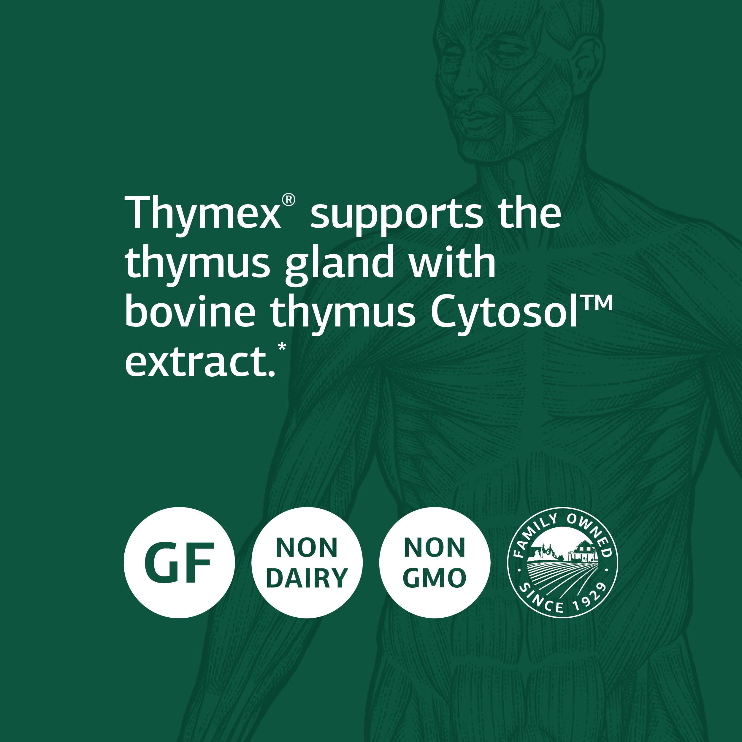 Foto 5 pulgar | Suplemento Standard Process Thymex 330 Tabletas - Venta Internacional