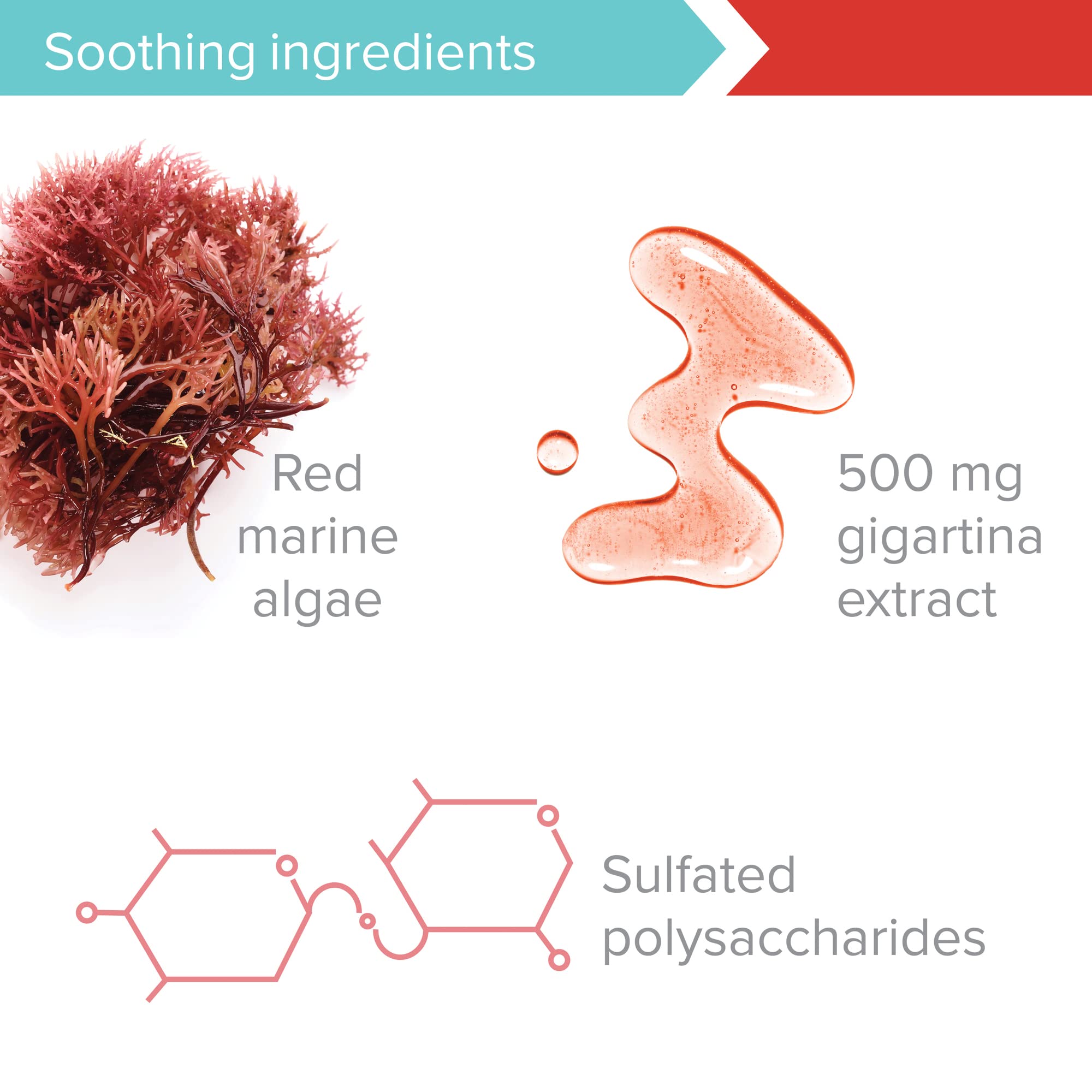 Foto 7 pulgar | Suplemento Vibrant Health Gigartina Red Marine Algae 60 Cápsulas - Venta Internacional