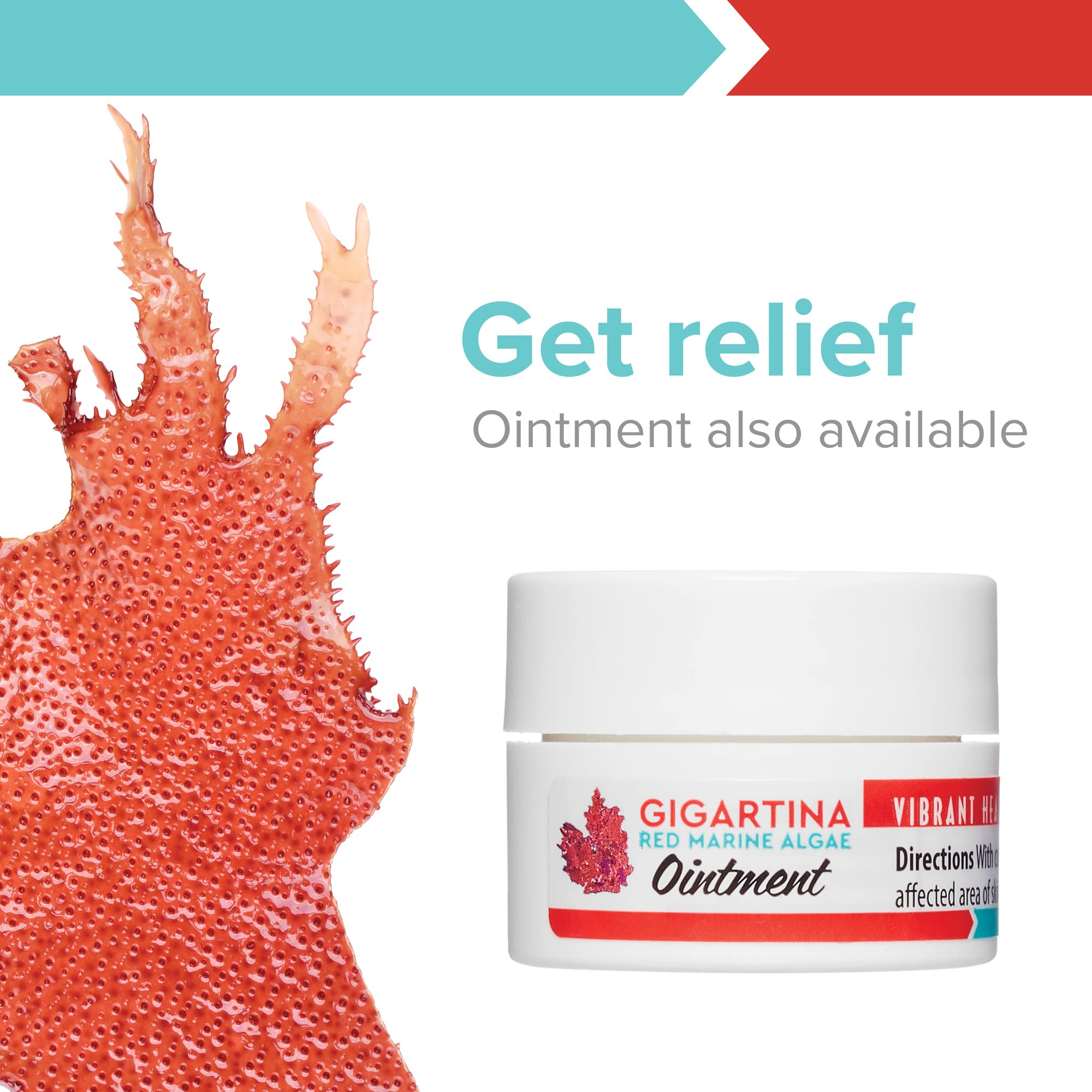 Foto 7 | Suplemento Vibrant Health Gigartina Red Marine Algae 60 Cápsulas - Venta Internacional